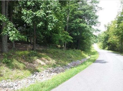 Vacant Land For Sale - 109 Durham Road<br/> Stillwater, NY 12170