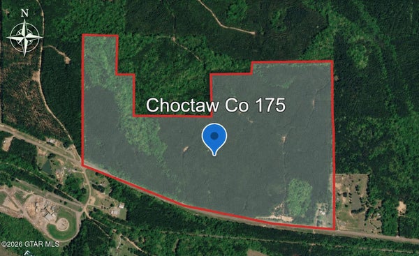 ADDRESS PRIVATE, ACKERMAN, MS 39735 - Image 2eeecc88d14e10fd83fff8684f84e5cc/3994242101
