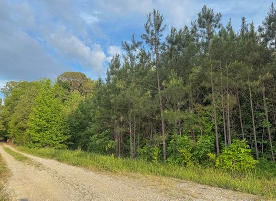 3 DORIS ST, CALEDONIA, MS 39740 - Image 60e350ed2dab60c570d7b6a8f6dbd708/638652958