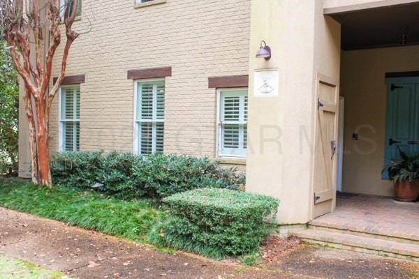 1 SCOTLAND YARD, WEST POINT, MS 39773 - Image 8242e11dba686796e18e68d8d1ca66ab/3989734263