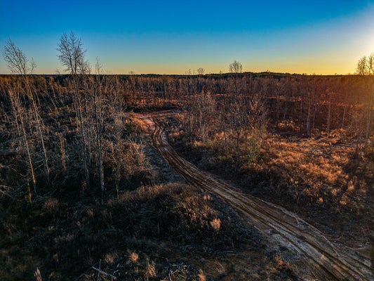 ADDRESS PRIVATE, NEW SITE, MS 38859 - Image aacdbcbbd9d7b32d6a2fb62ff1e4bd62/147248511