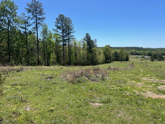 ADDRESS PRIVATE, WOODLAND, MS 39776 - Image b1c2c8b8eb9e294a80dbea172f6aef6a/841286013