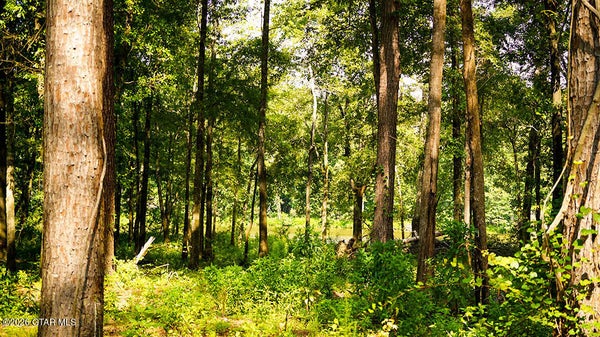CYPRESS POINT RD, BROOKSVILLE, MS 39739 - Image bb23fa2b668bac82b1f9f344daecd35f/3050737165