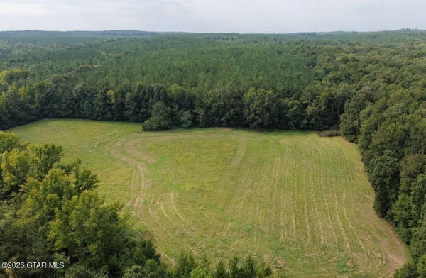 56 COUNTY ROAD 123, HOULKA, MS 38850 - Image bca704e5b050f6b91c44baa8403ea839/4280894219