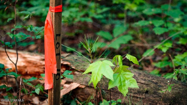 CYPRESS POINT RD, BROOKSVILLE, MS 39739 - Image ceae1fc0b28a7c06ff64866abb05abf7/2973448886
