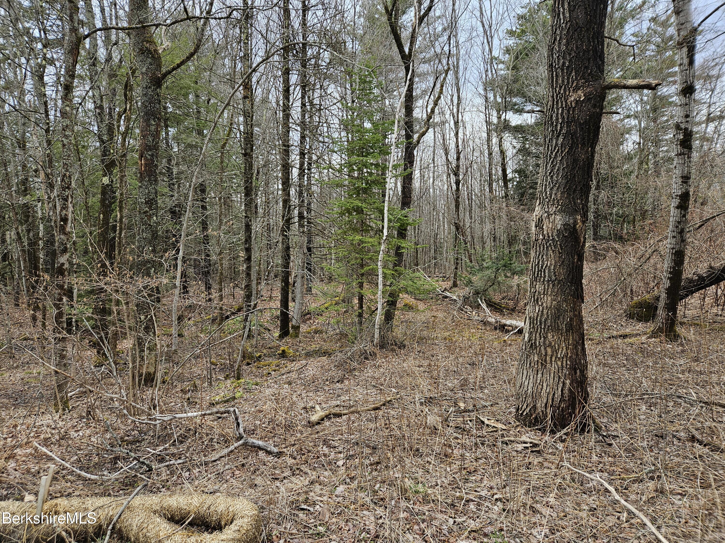 379 New Windsor Rd, Hinsdale, Massachusetts image 11