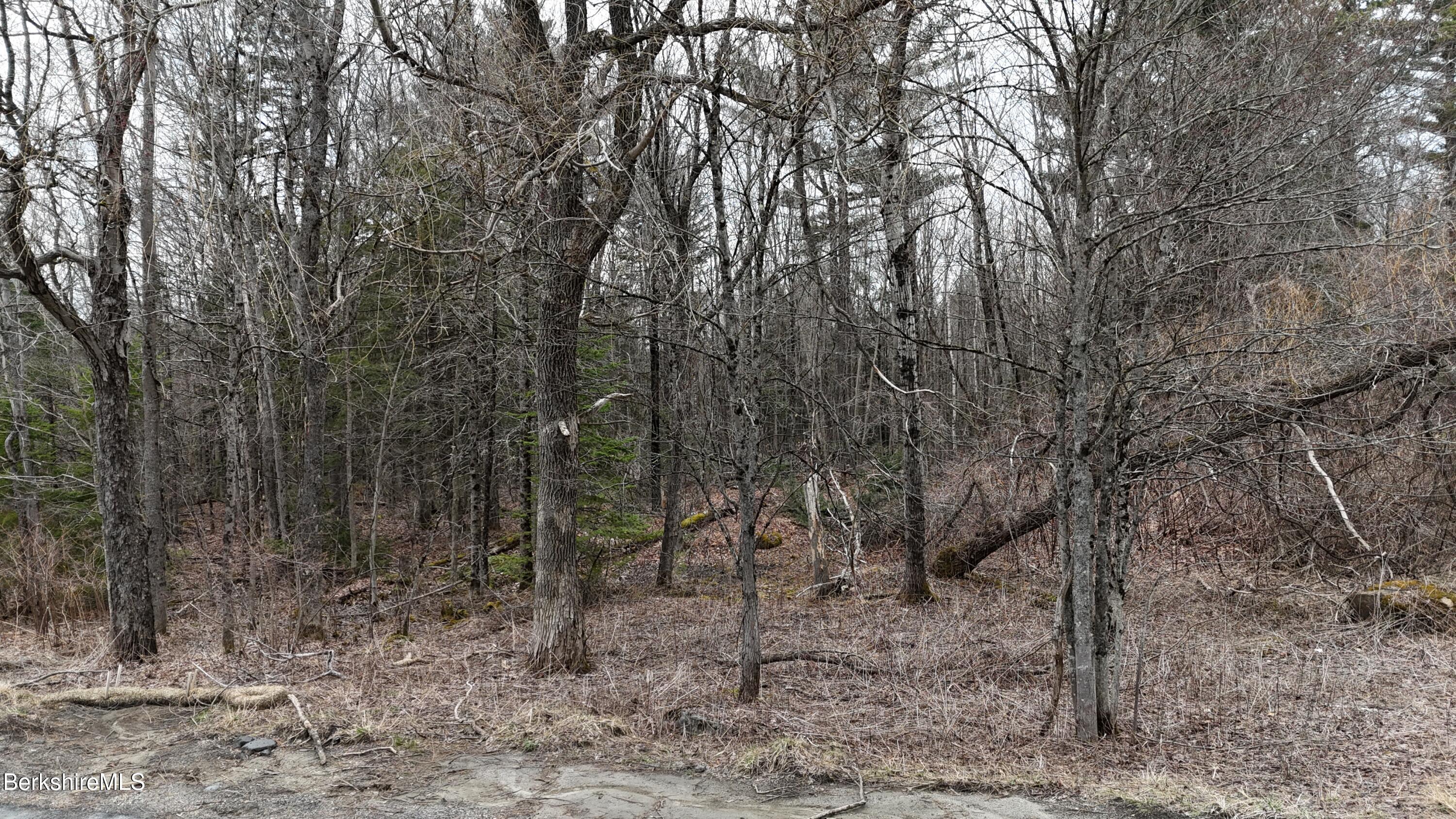 379 New Windsor Rd, Hinsdale, Massachusetts image 12