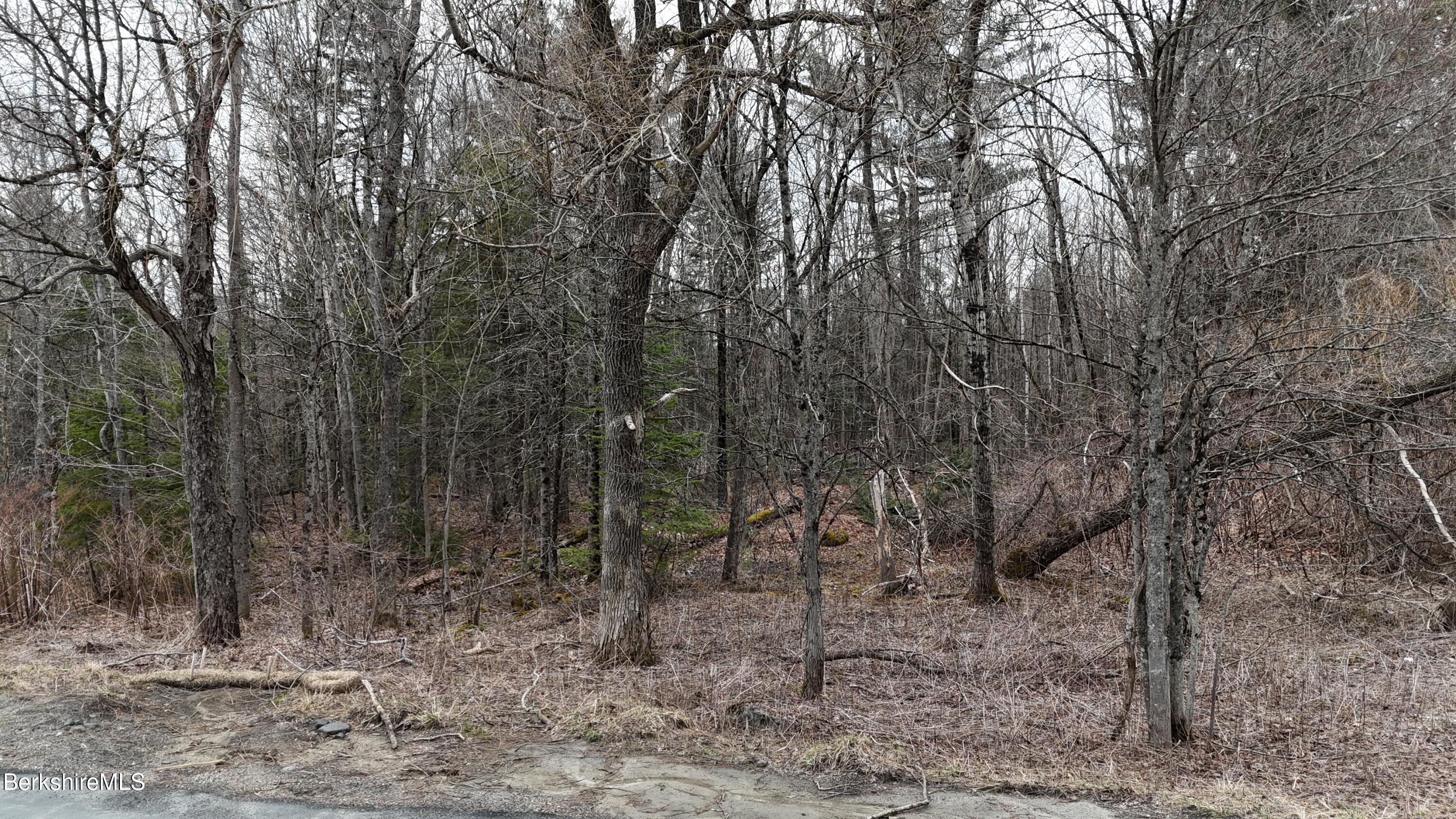 379 New Windsor Rd, Hinsdale, Massachusetts image 10