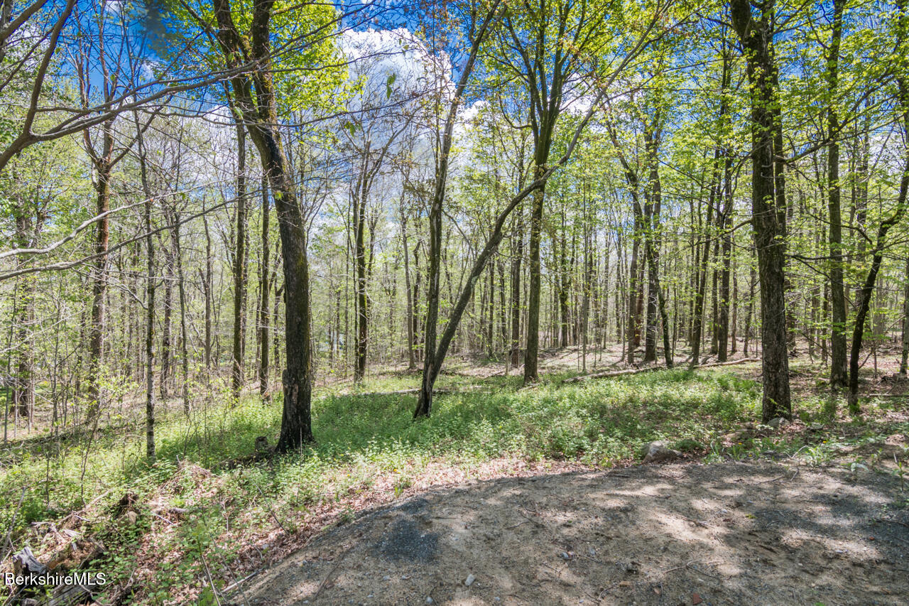 78 Slope Rd, Tolland, Massachusetts image 27