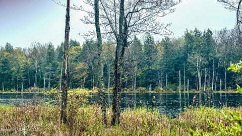 Vacant Land For Sale - LOT9 Johnson Rd<br/> Becket, MA 01223