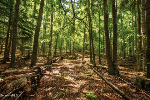 Vacant Land For Sale - Forest Hill Dr<br/> Hinsdale, MA 01235