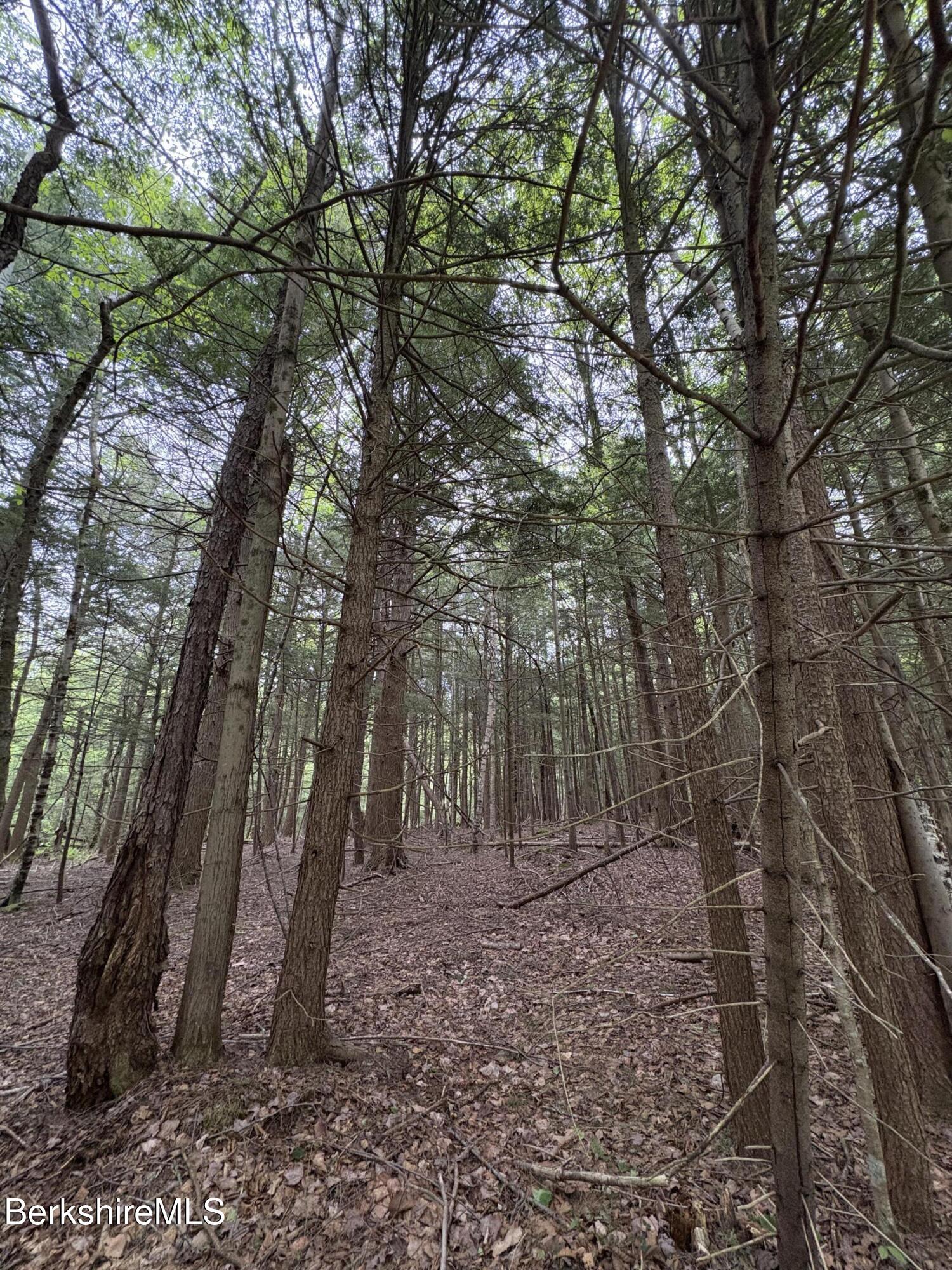 25-P Pill Dr, Becket, Massachusetts image 7