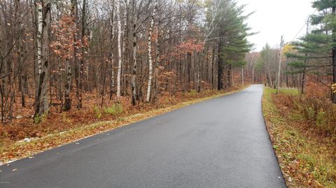 Vacant Land For Sale - Stryker Rd<br/> Florida, MA 01247