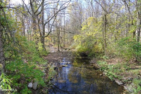 Vacant Land For Sale - Furnace Rd<br/> Richmond, MA 01254