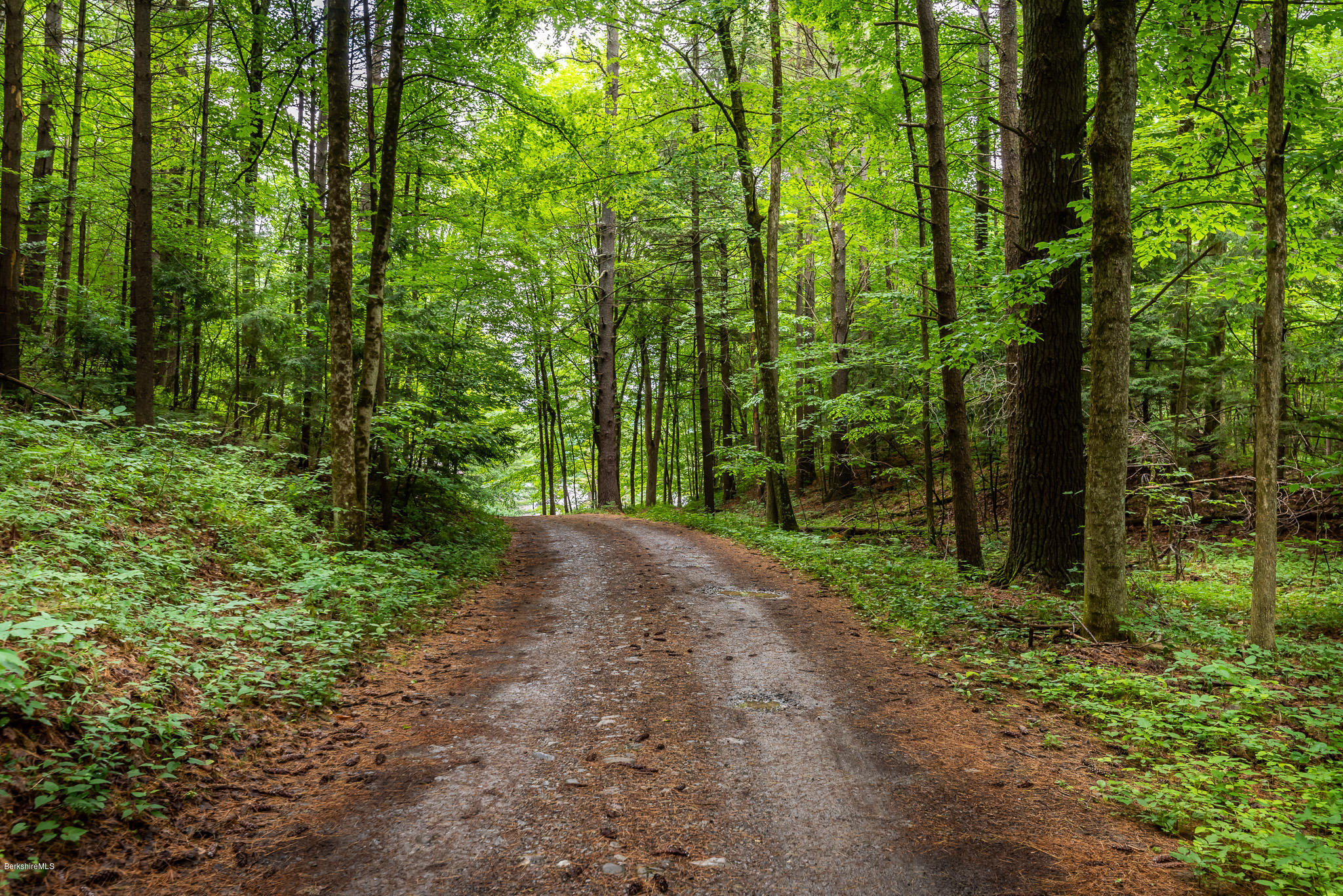 22 Paige Rd, Canaan, New York image 23