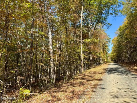 Vacant Land For Sale - Potters Road Extension<br/> Charlemont, MA 01339