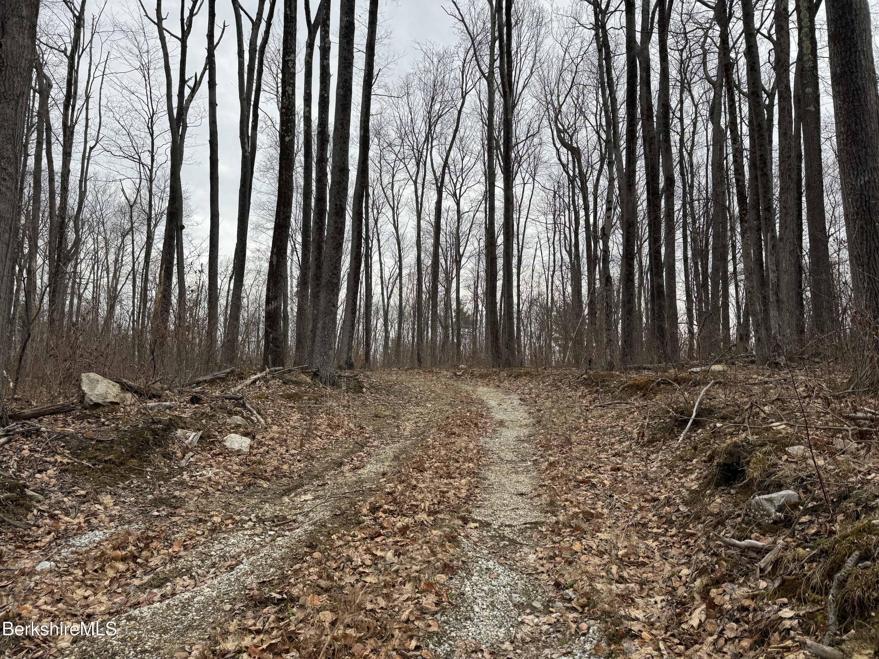 Lake Buel Rd, Great Barrington, Massachusetts image 1
