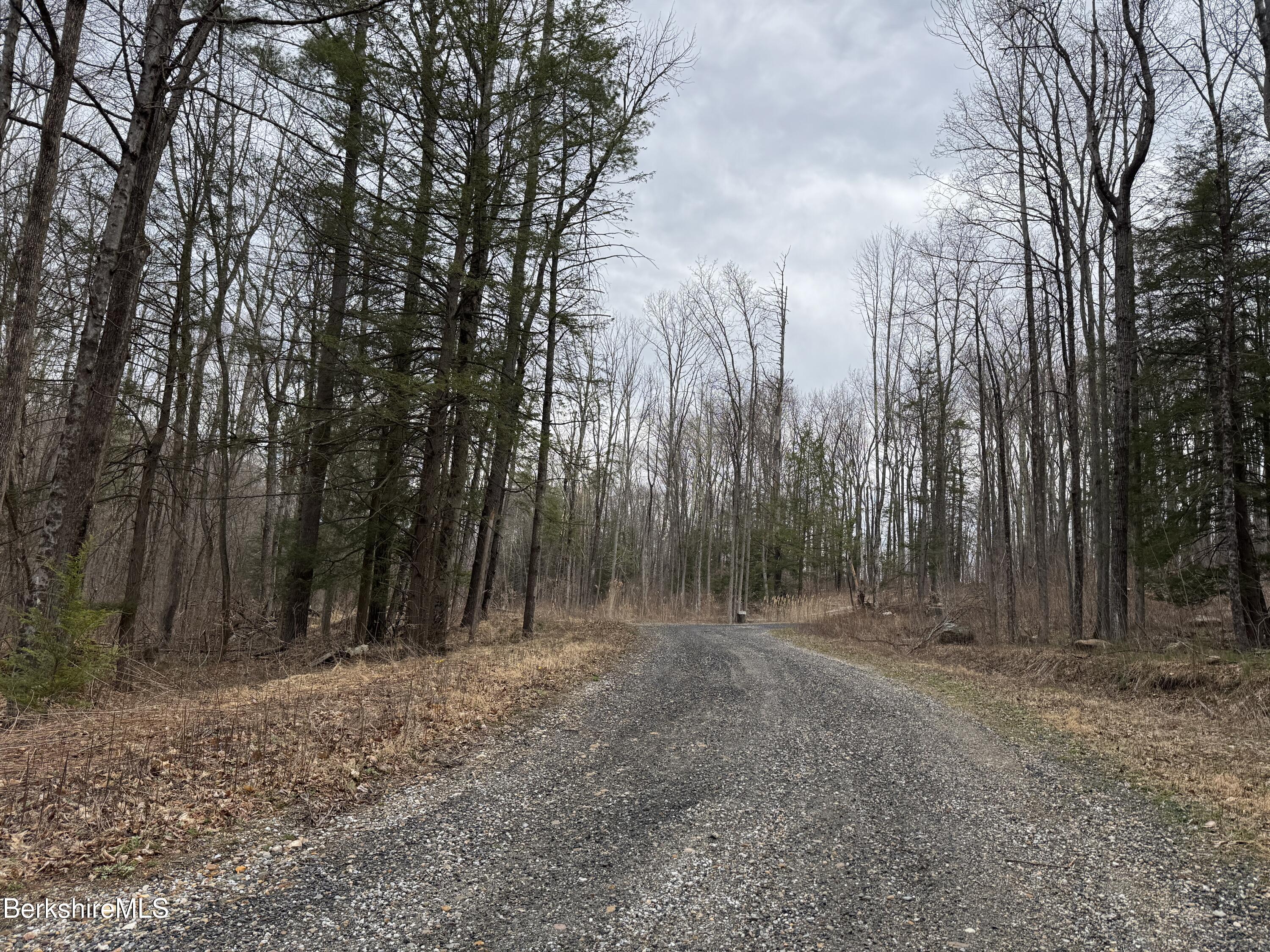 Lake Buel Rd, Great Barrington, Massachusetts image 3