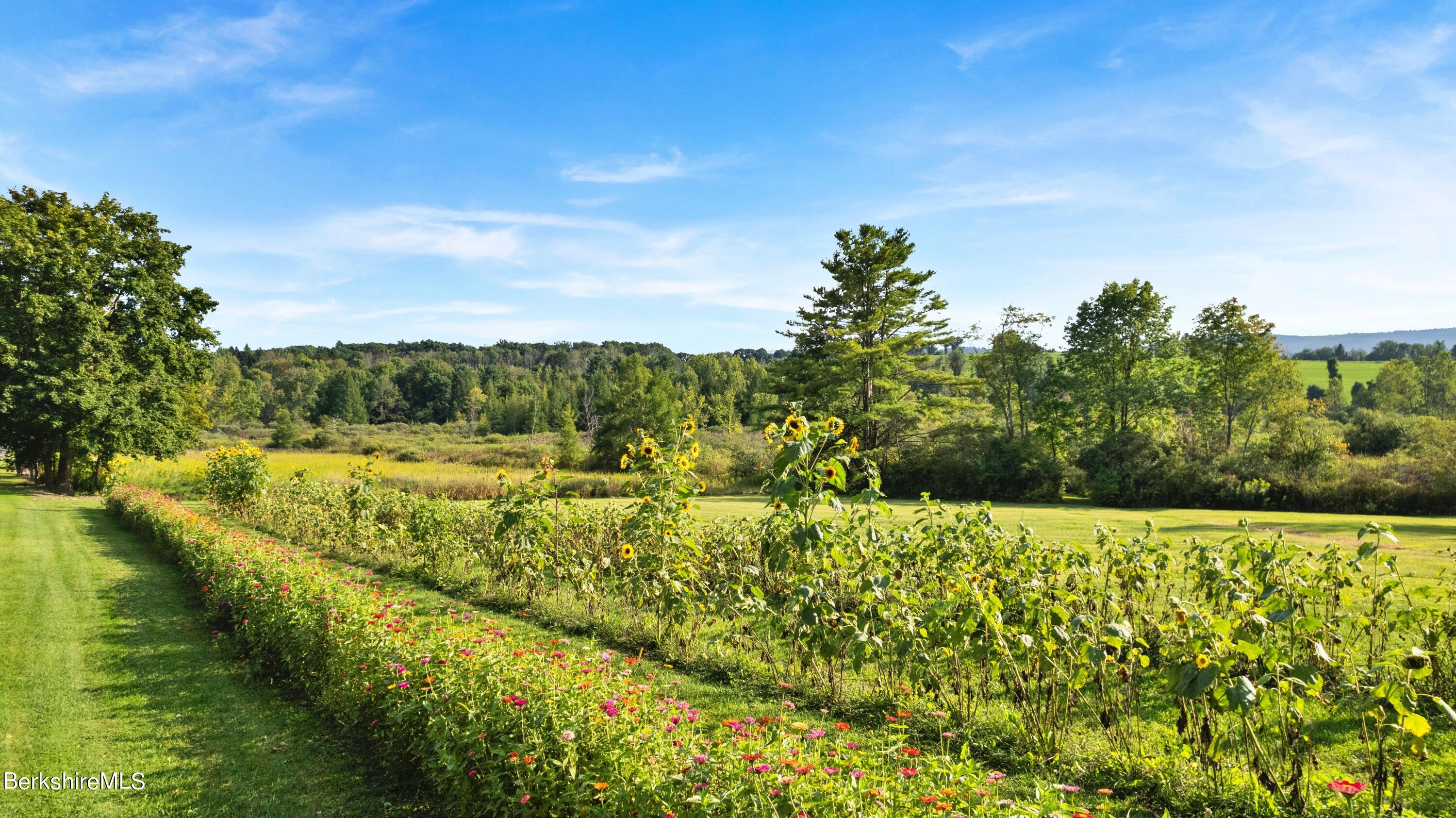 65 Baldwin Hill Rd, Egremont, Massachusetts image 9