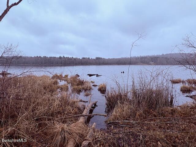 360 Brush Hill Rd, Sheffield, Massachusetts image 8