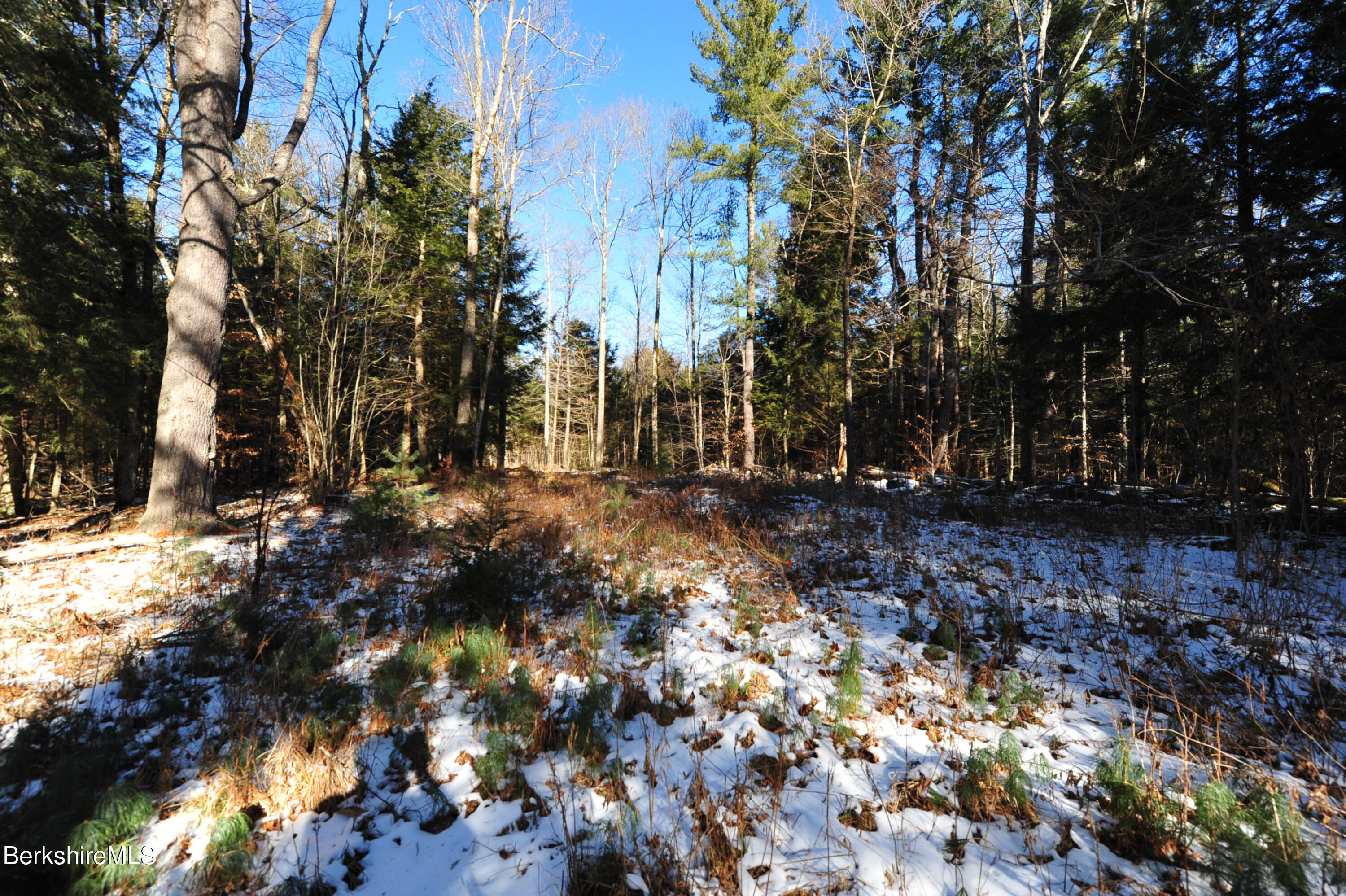 LOT12 Bancroft Rd, Becket, Massachusetts image 8