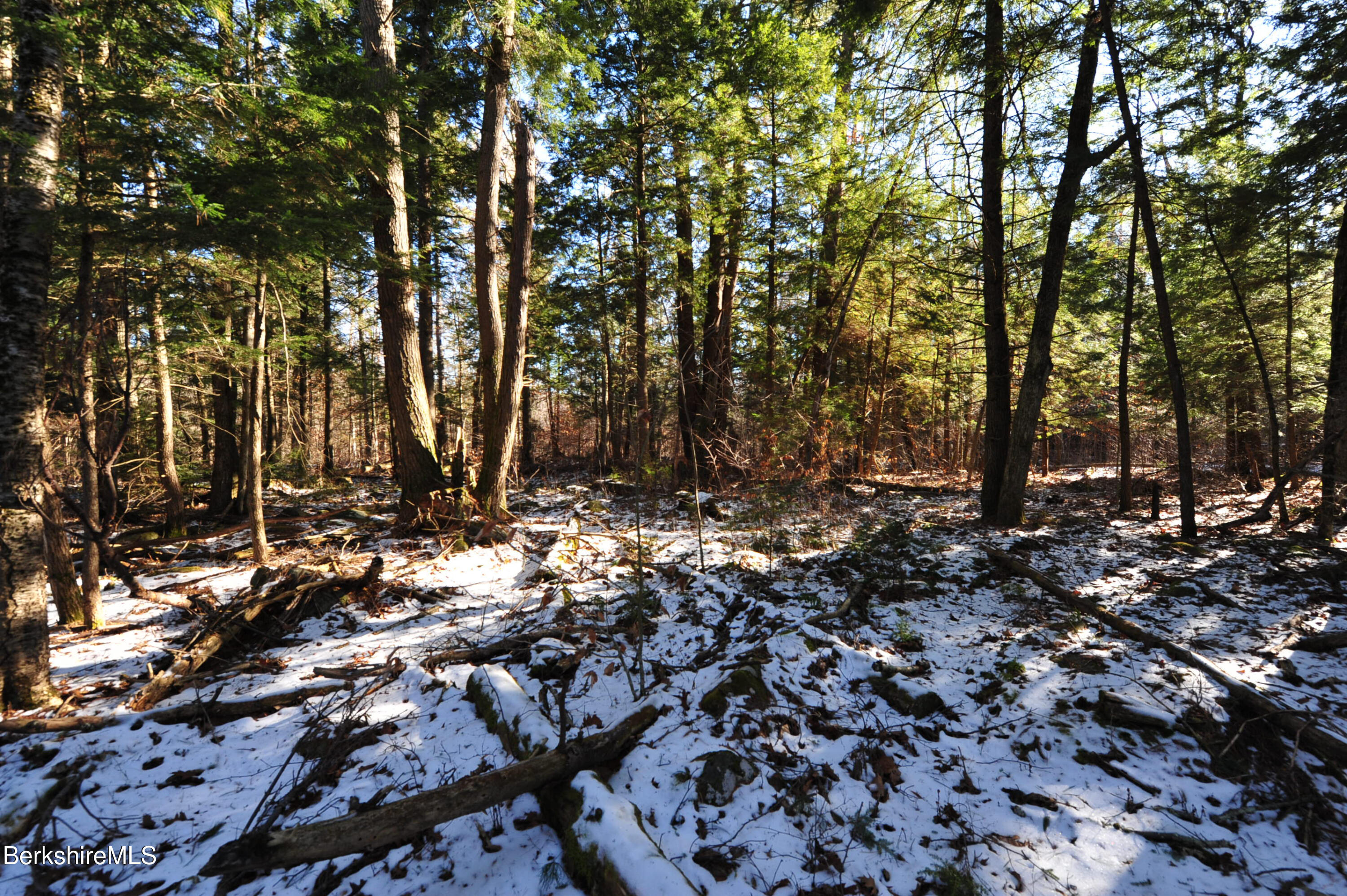 LOT12 Bancroft Rd, Becket, Massachusetts image 10