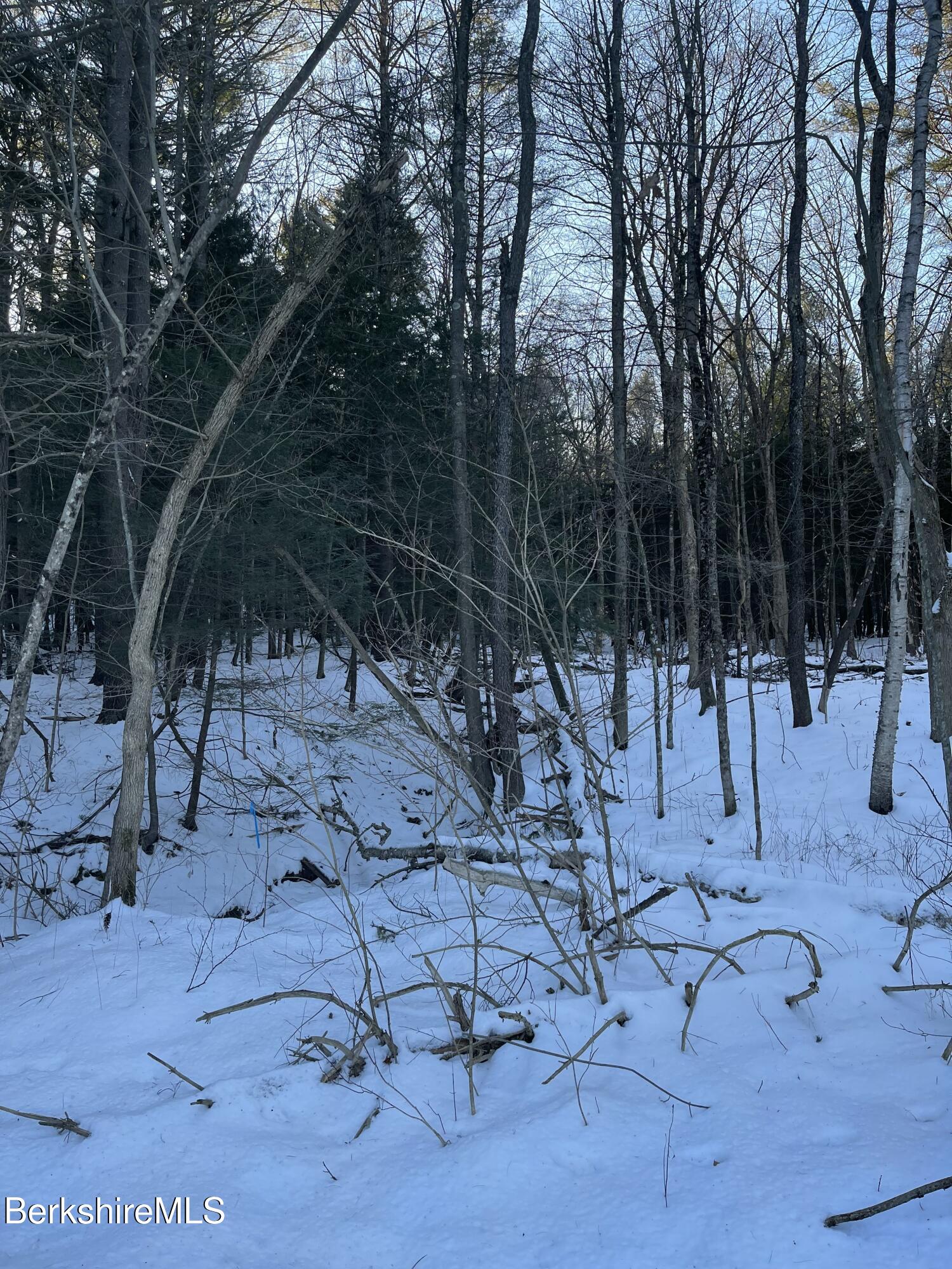 Lot C3-2 Partridge Rd, Lanesborough, Massachusetts image 8