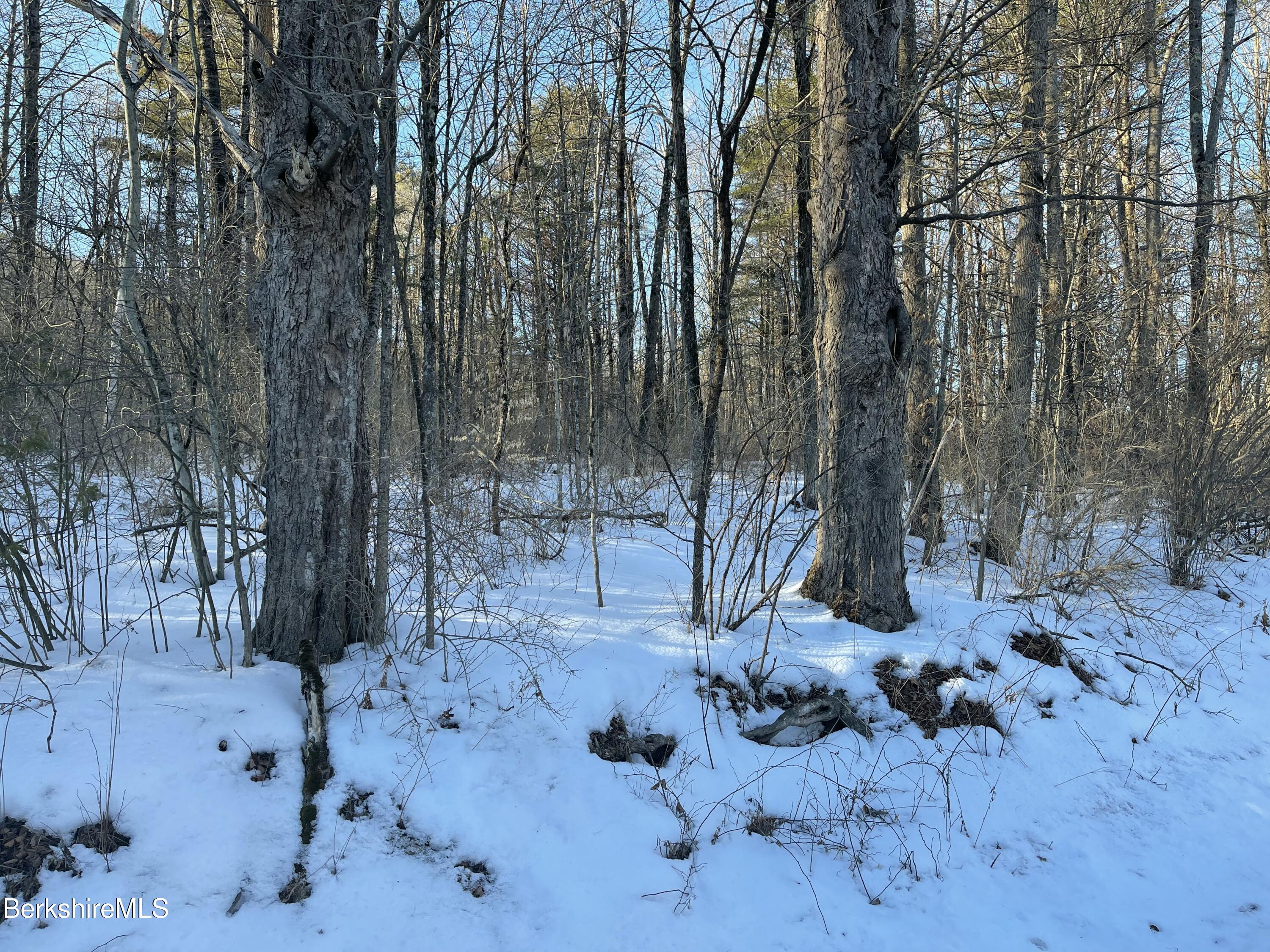 Lot C3-2 Partridge Rd, Lanesborough, Massachusetts image 11