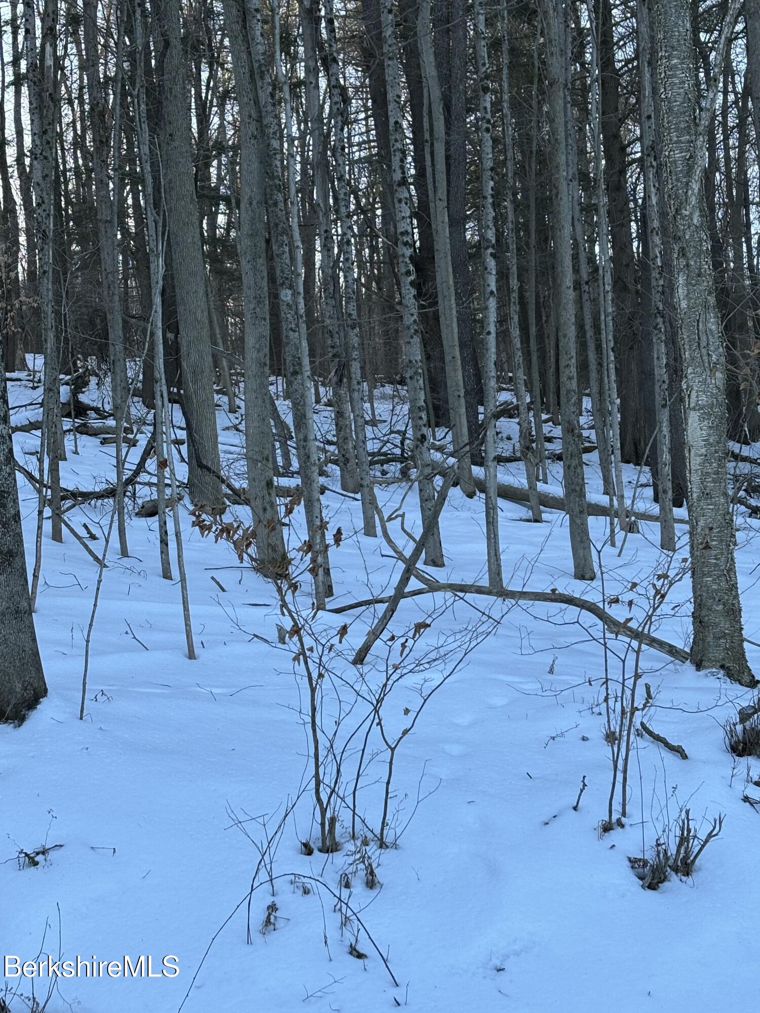 Lot C3-2 Partridge Rd, Lanesborough, Massachusetts image 3