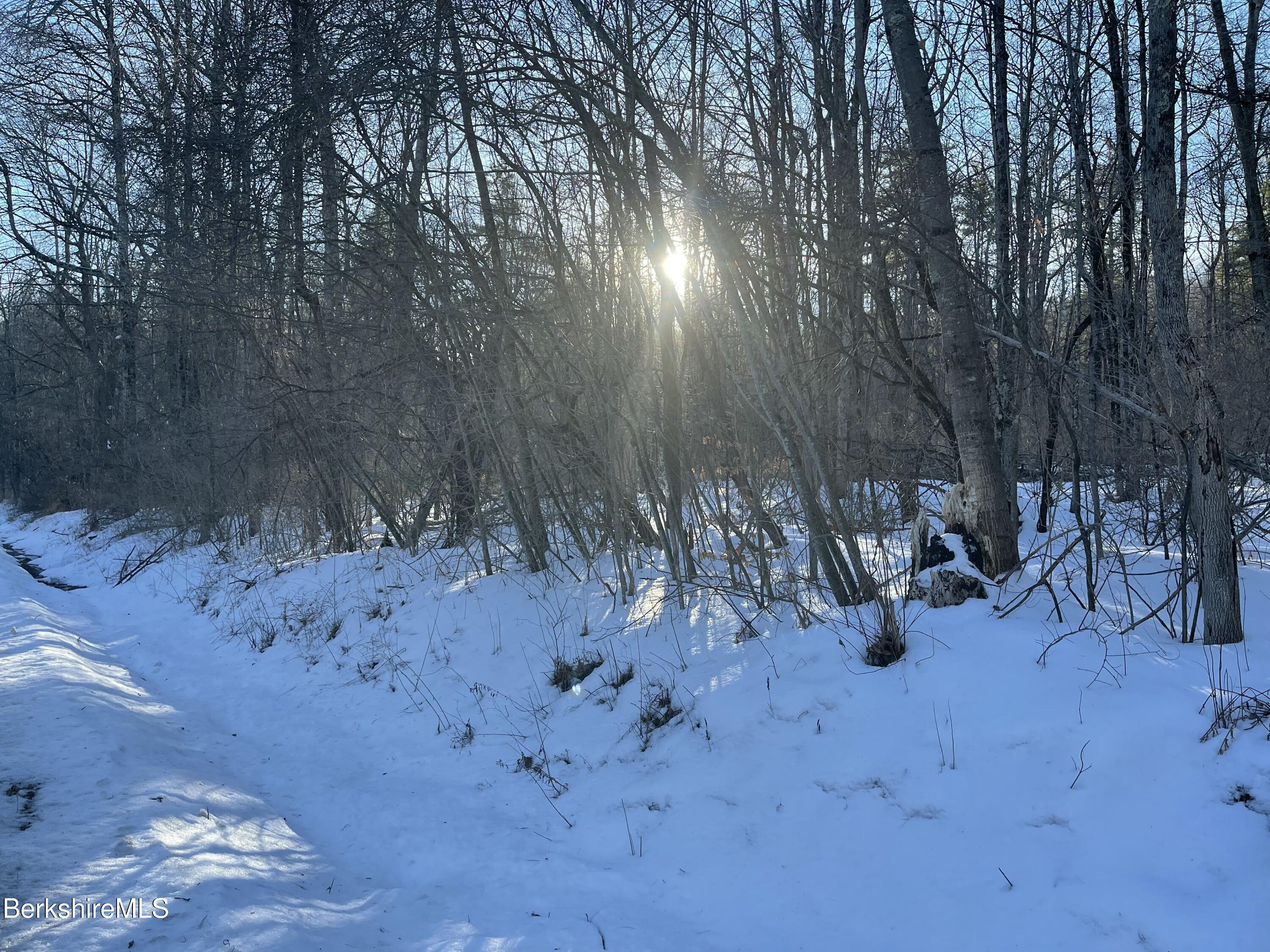 Lot C3-2 Partridge Rd, Lanesborough, Massachusetts image 12