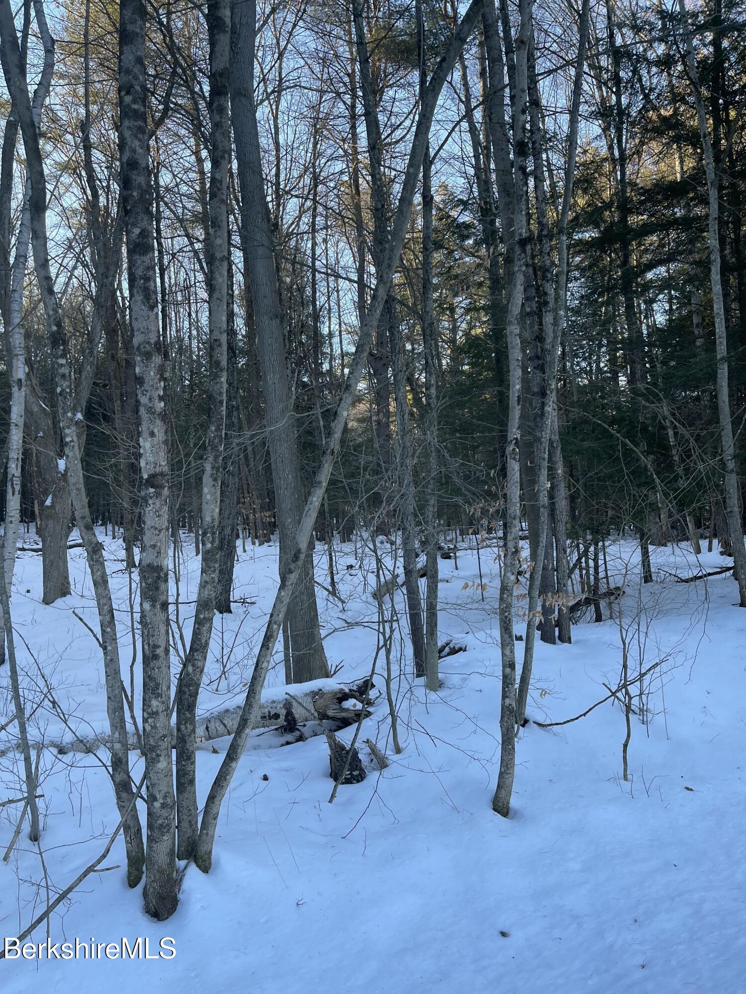 Lot C3-2 Partridge Rd, Lanesborough, Massachusetts image 6
