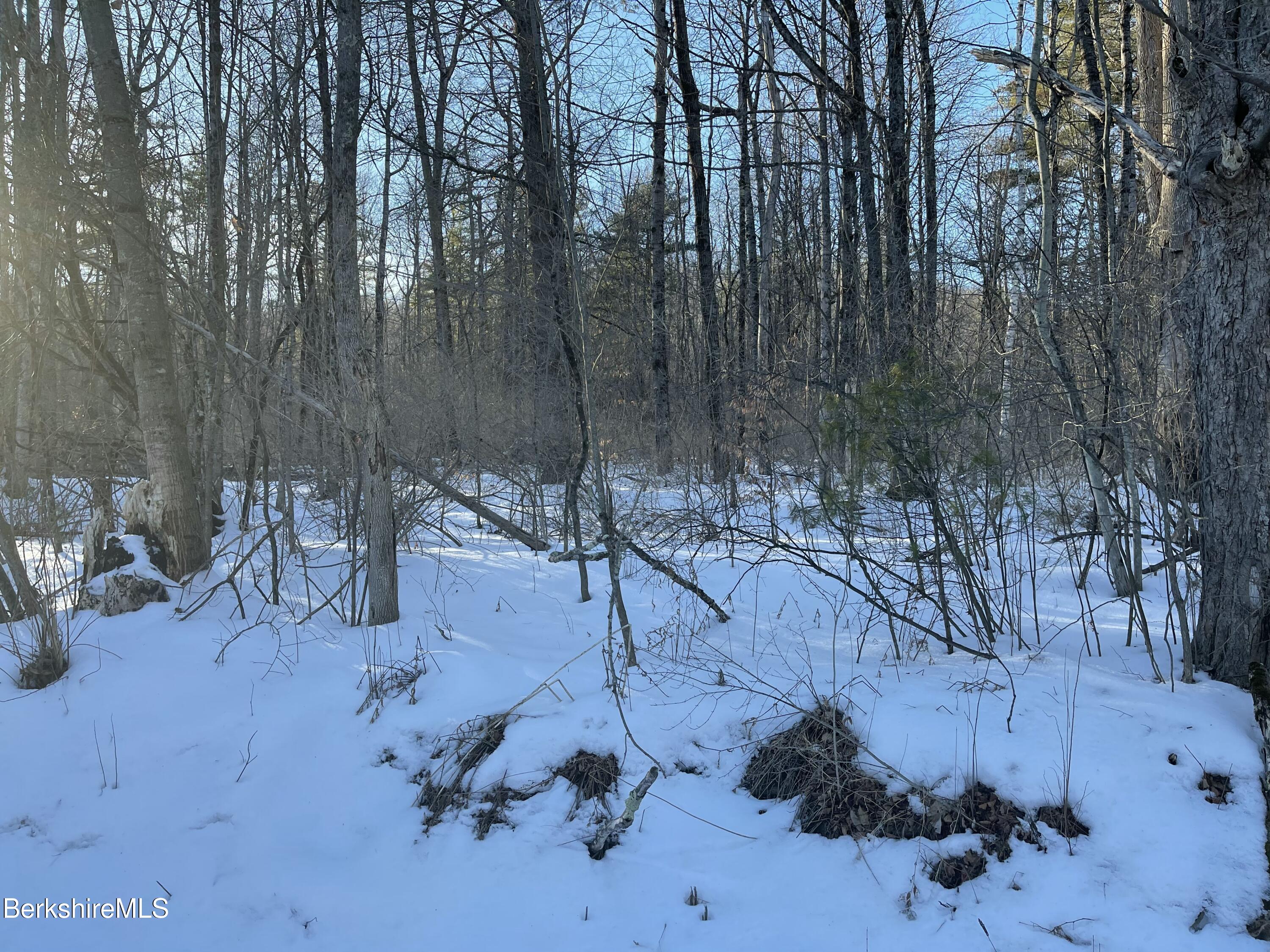 Lot C3-2 Partridge Rd, Lanesborough, Massachusetts image 13