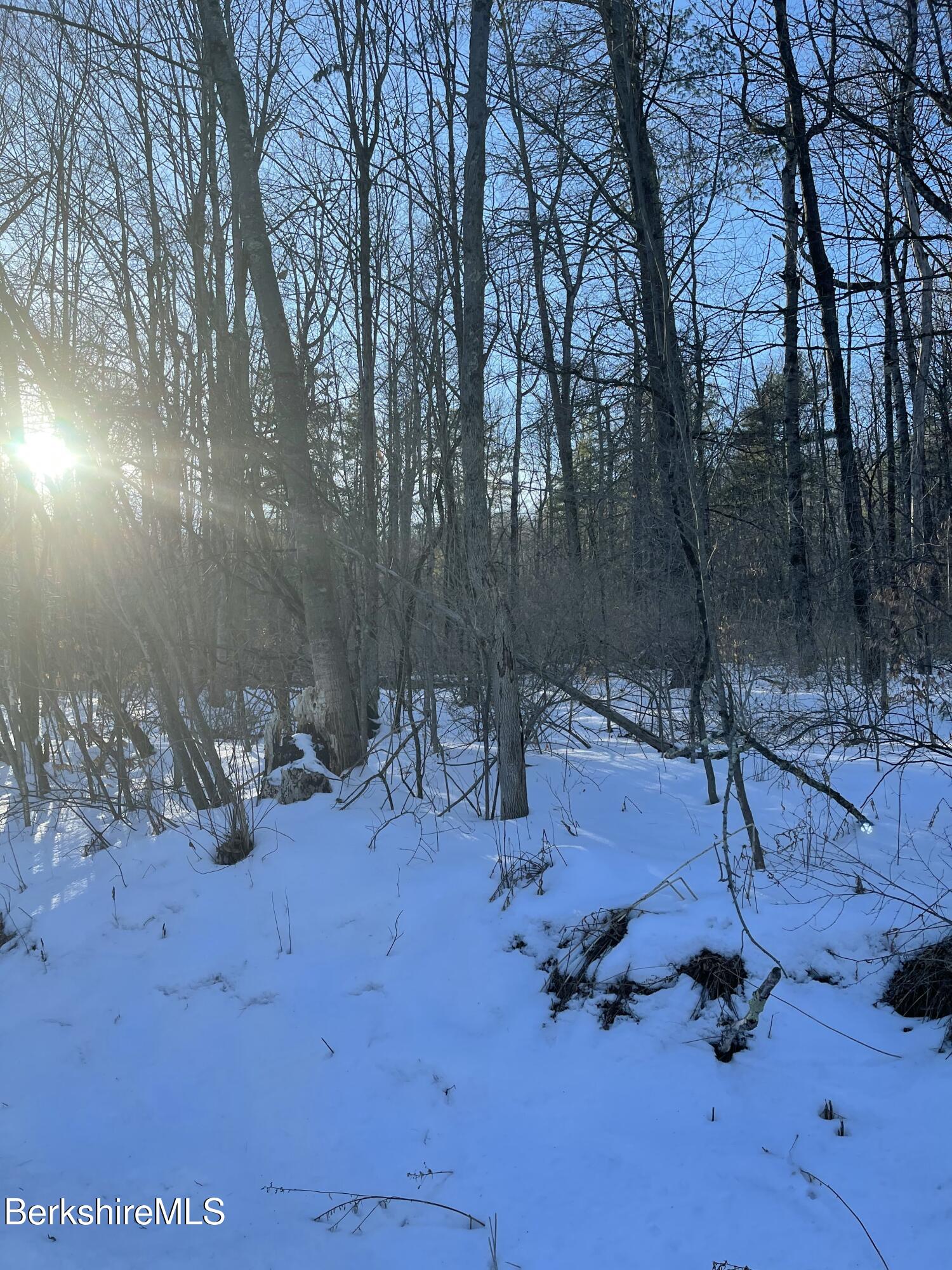 Lot C3-2 Partridge Rd, Lanesborough, Massachusetts image 10
