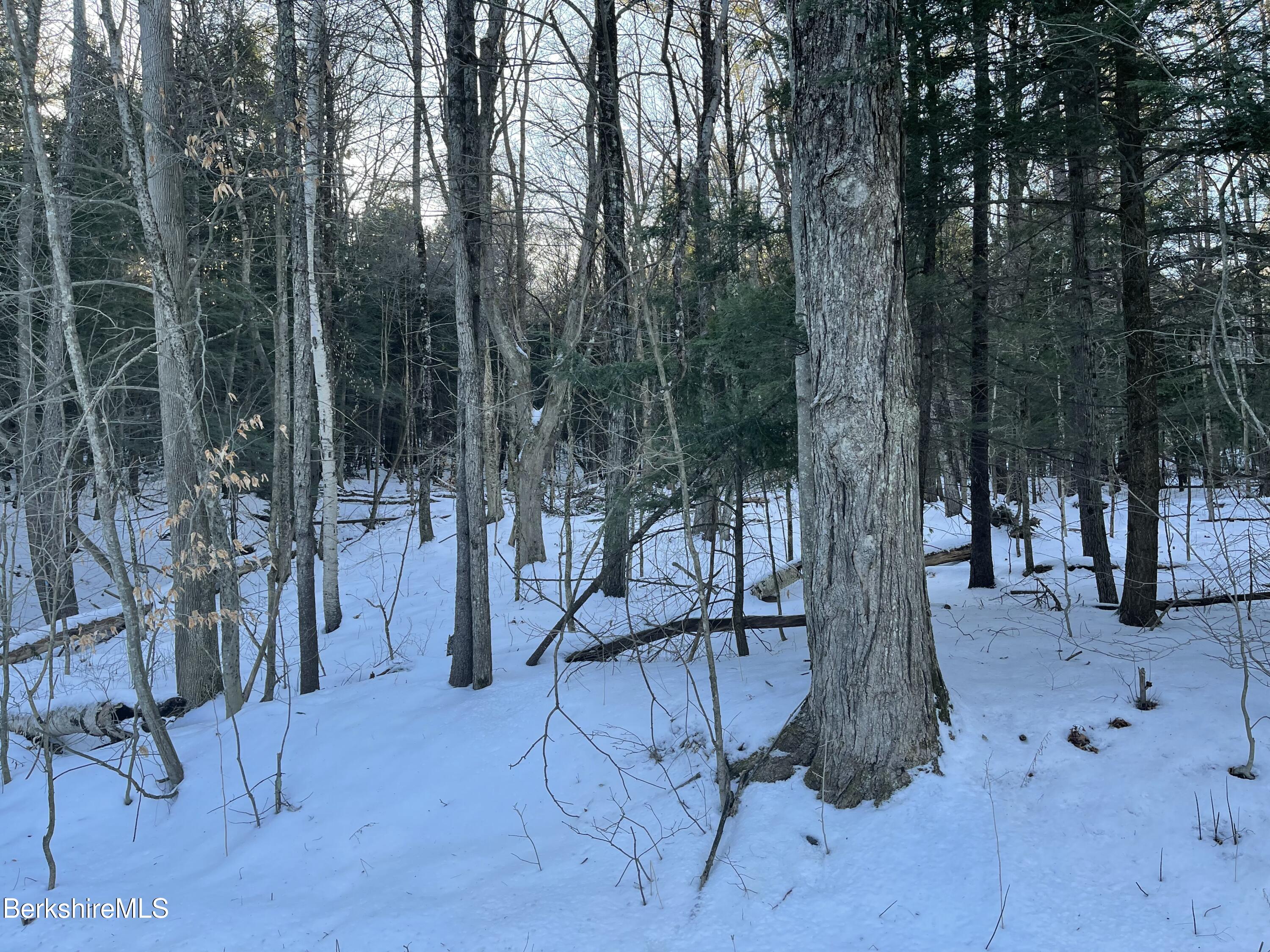 Lot C3-2 Partridge Rd, Lanesborough, Massachusetts image 4