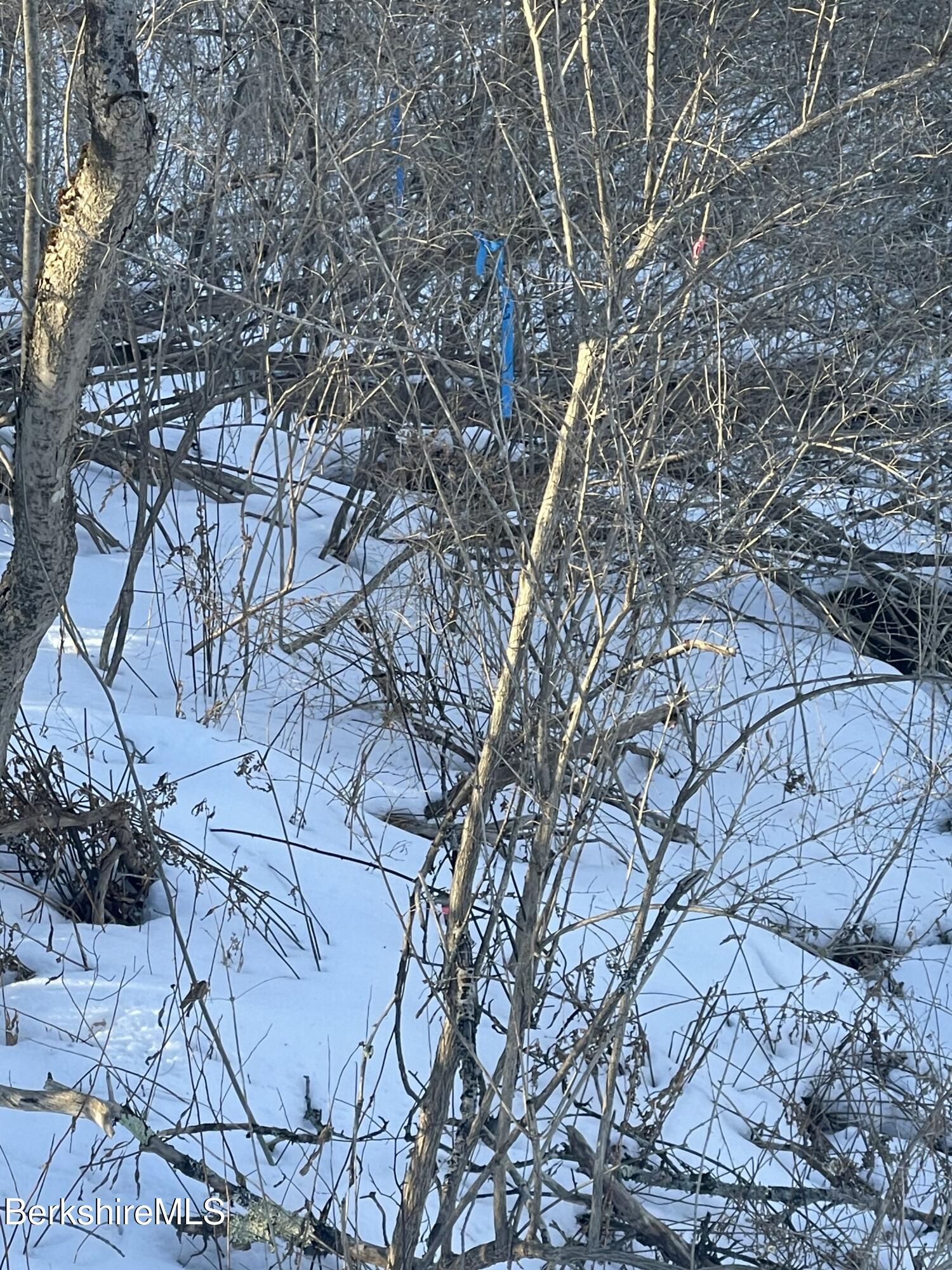 Lot C3-2 Partridge Rd, Lanesborough, Massachusetts image 14