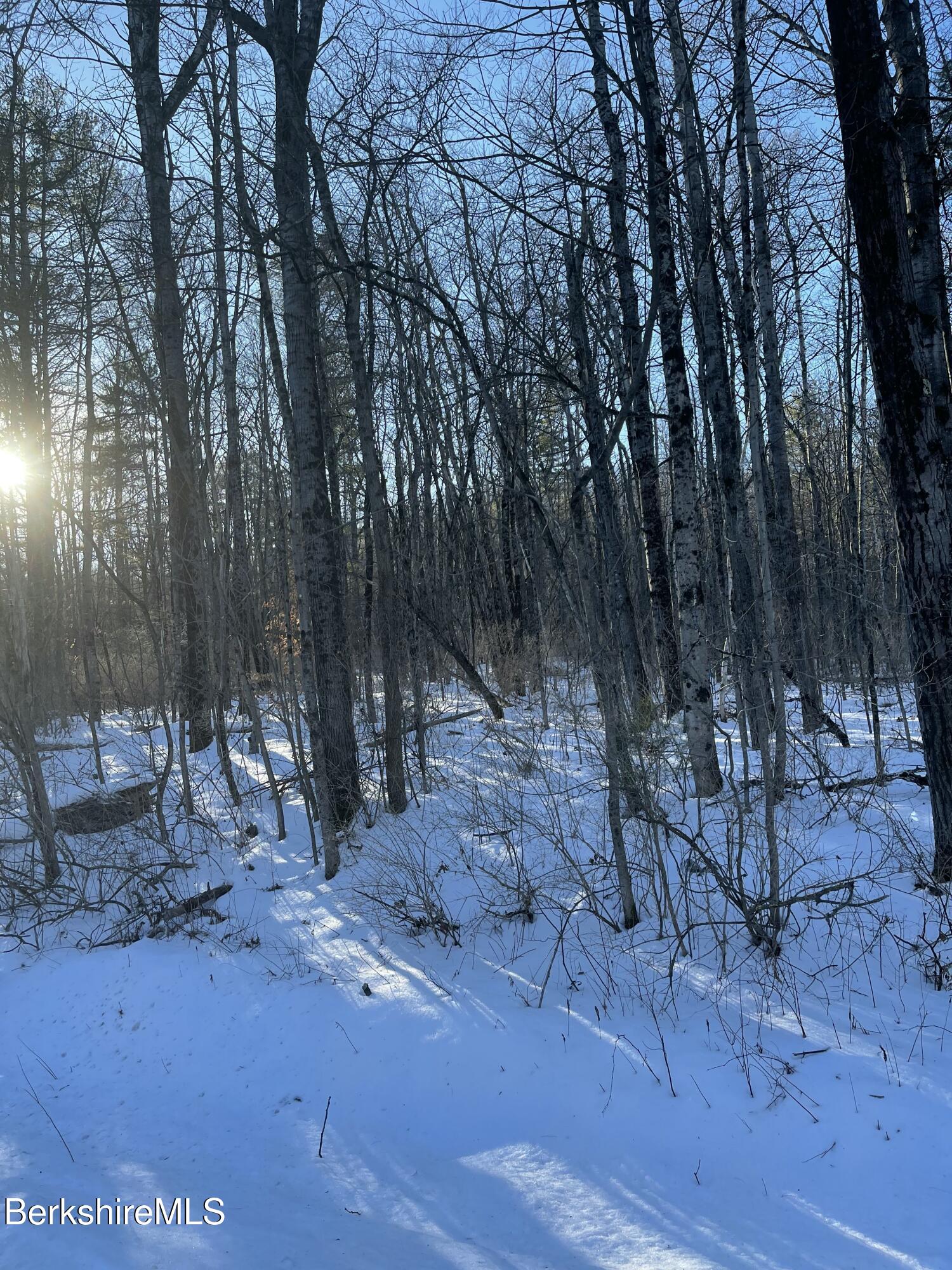 Lot C3-2 Partridge Rd, Lanesborough, Massachusetts image 17