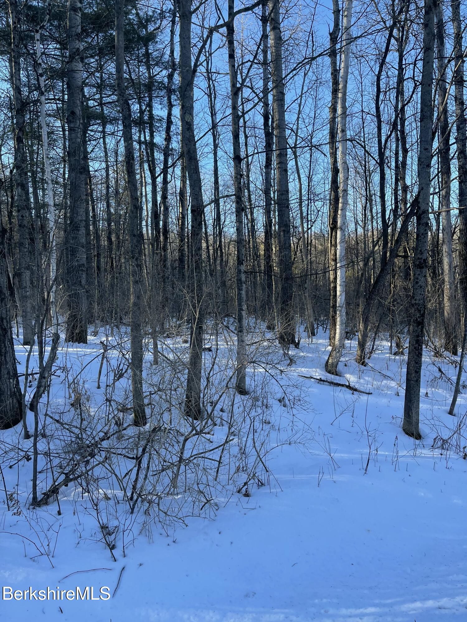 Lot C3-2 Partridge Rd, Lanesborough, Massachusetts image 16