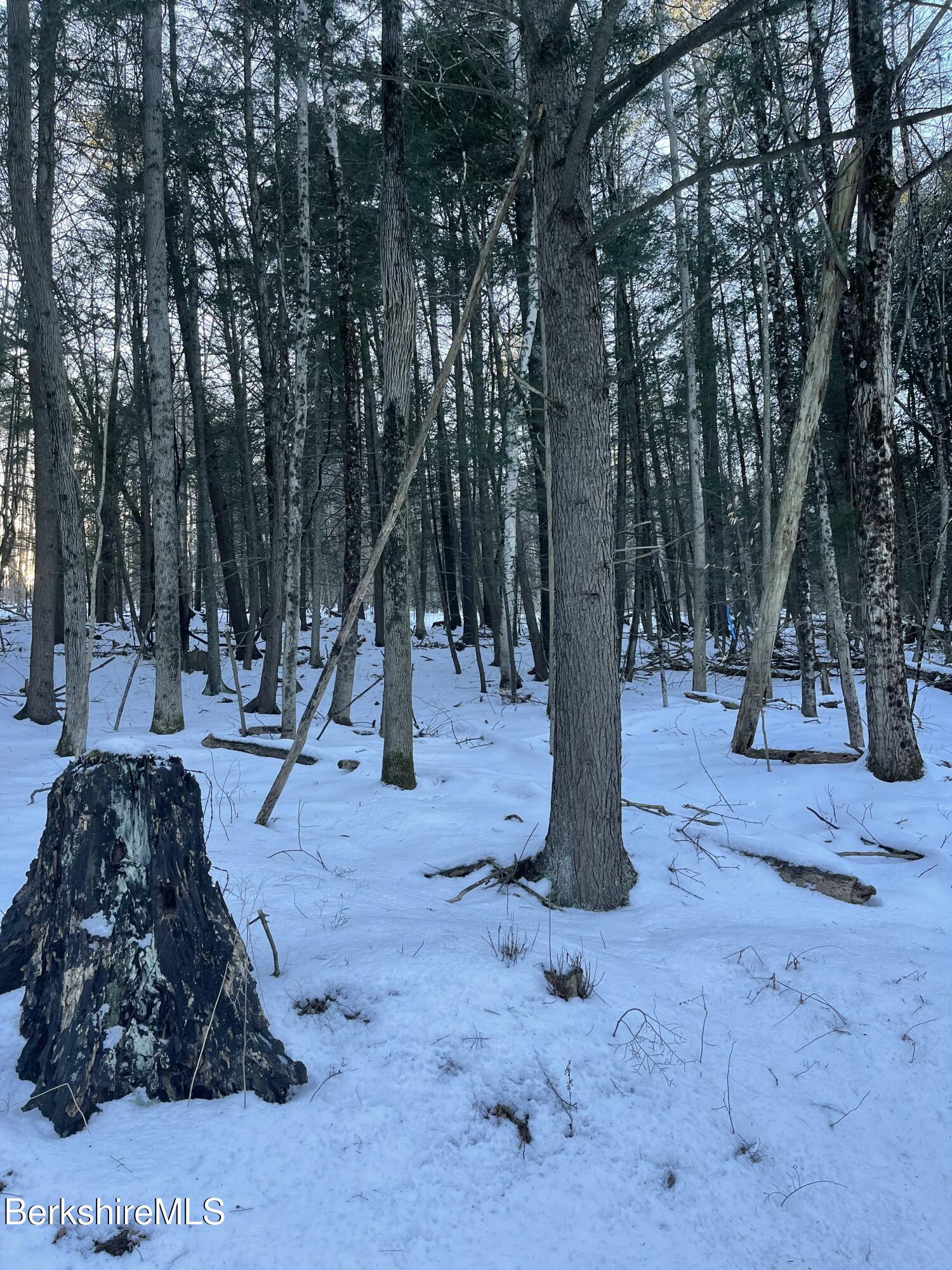 Lot C3-2 Partridge Rd, Lanesborough, Massachusetts image 20