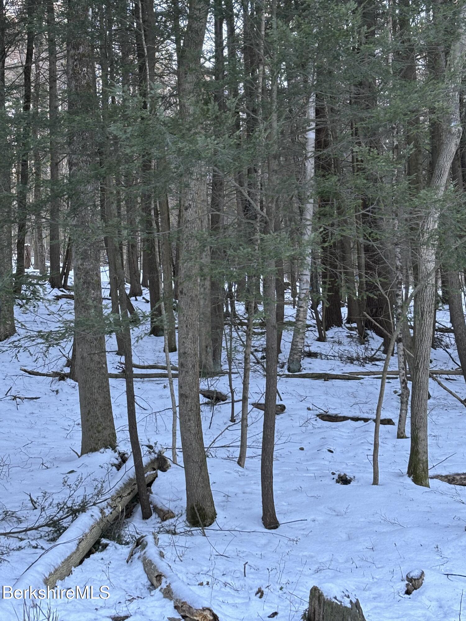 Lot C3-2 Partridge Rd, Lanesborough, Massachusetts image 2