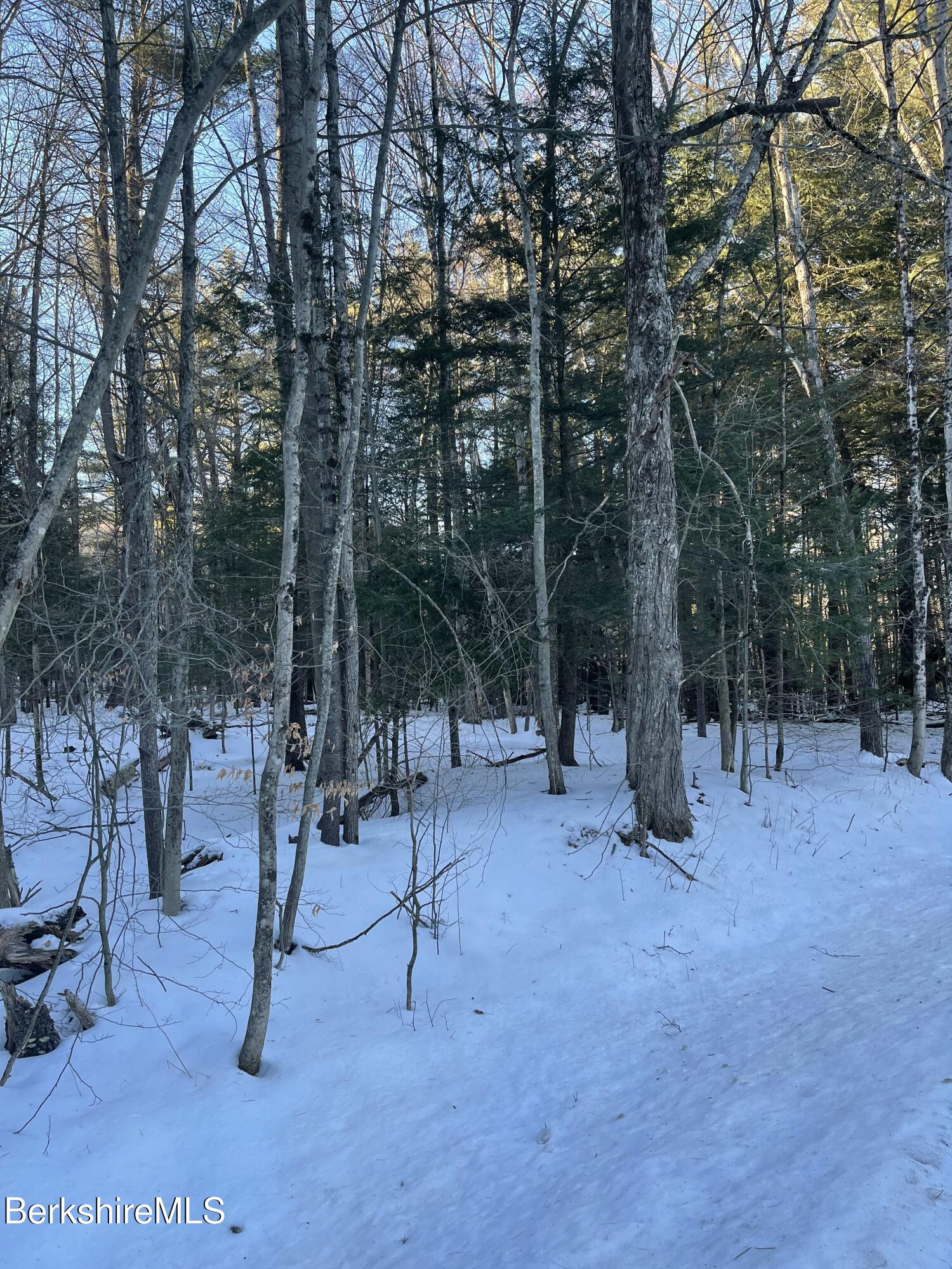 Lot C3-2 Partridge Rd, Lanesborough, Massachusetts image 7