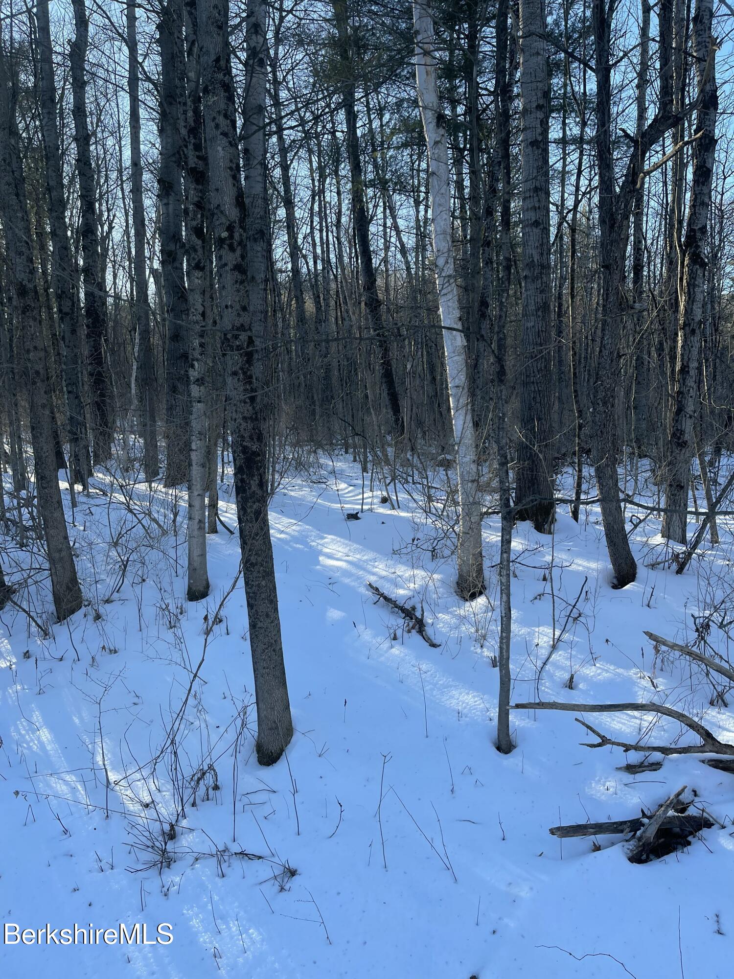 Lot C3-2 Partridge Rd, Lanesborough, Massachusetts image 15
