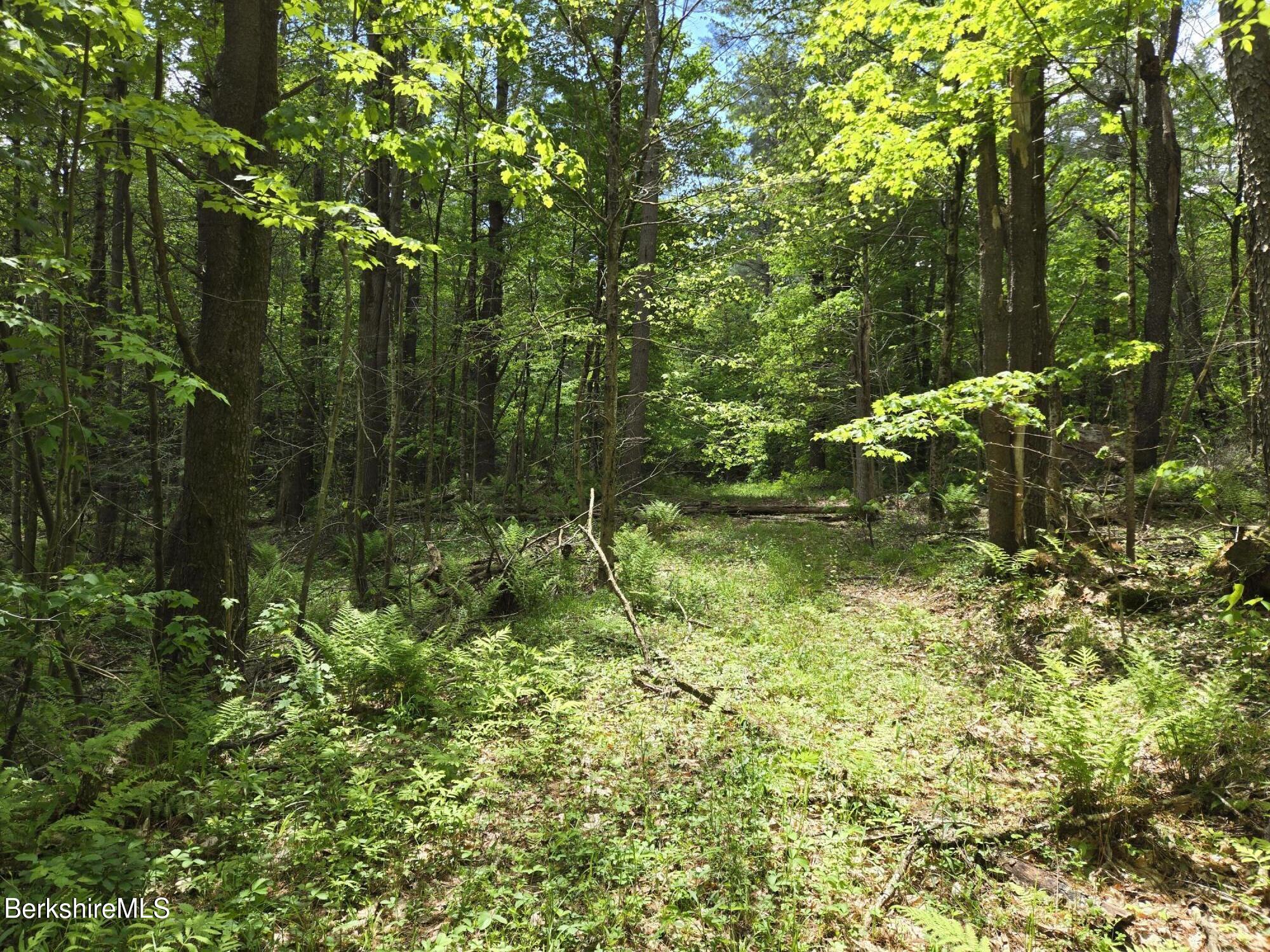 E Otis Rd, Otis, Massachusetts image 9