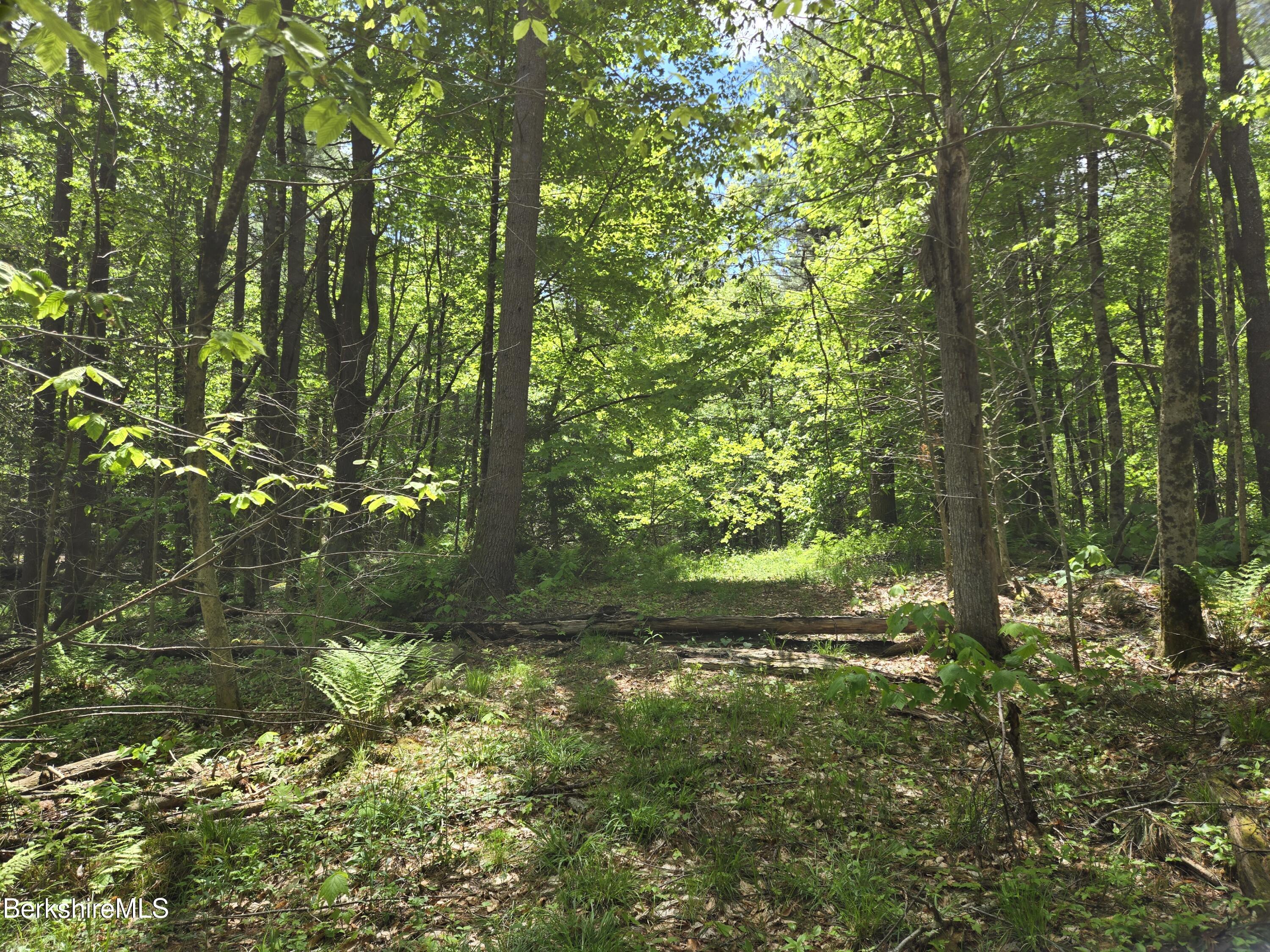 E Otis Rd, Otis, Massachusetts image 7