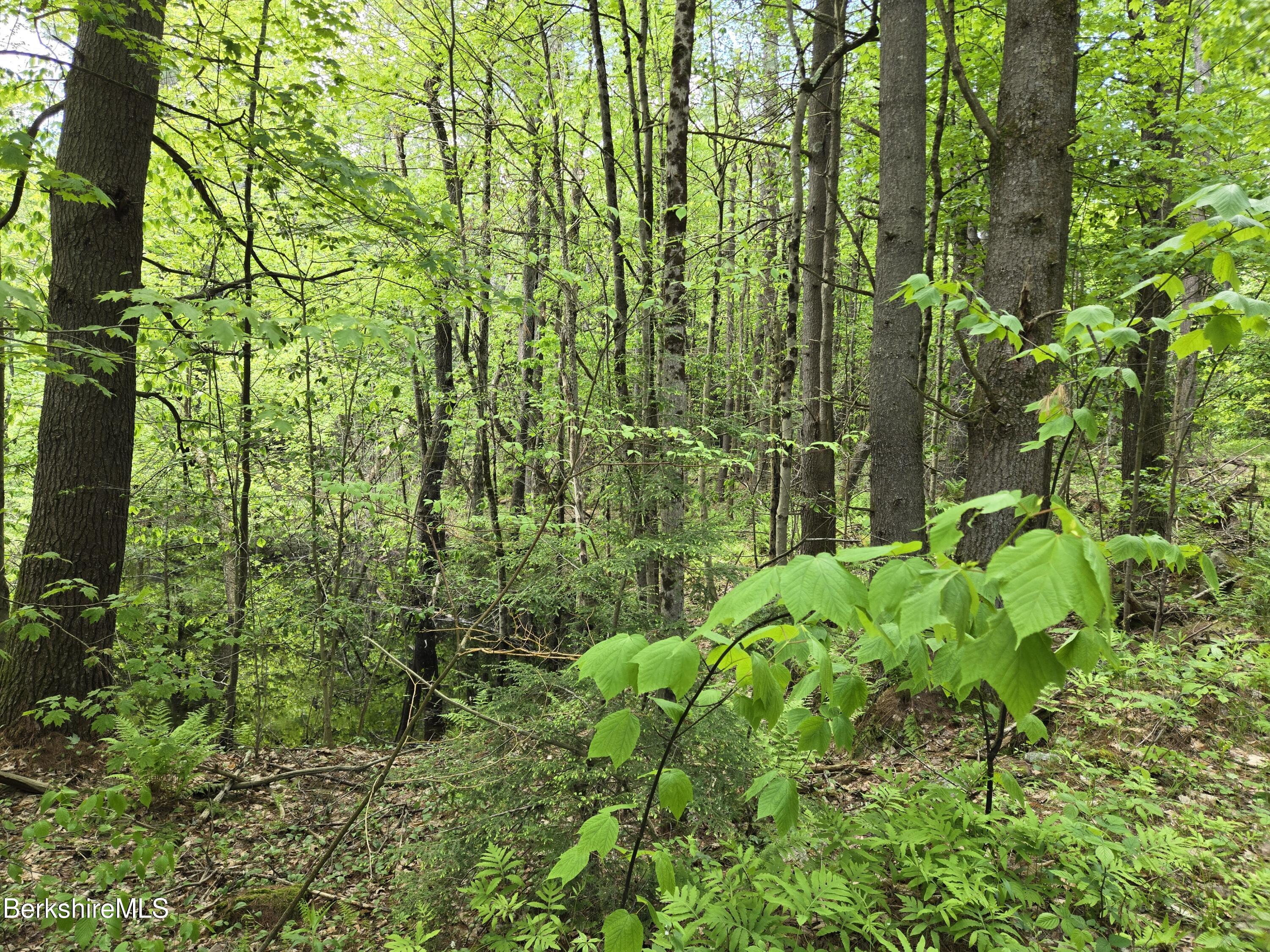 E Otis Rd, Otis, Massachusetts image 12