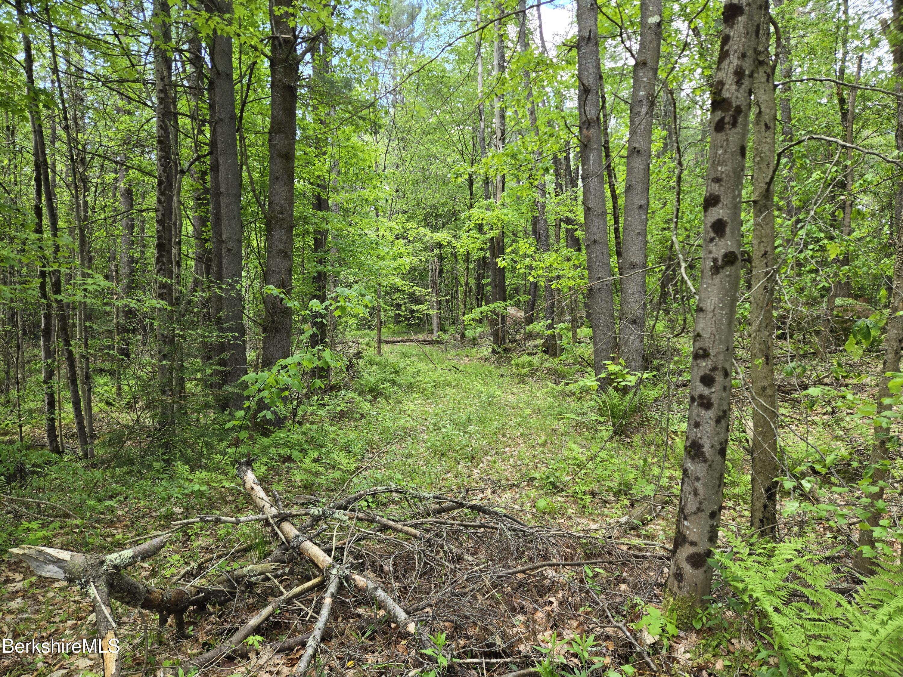 E Otis Rd, Otis, Massachusetts image 6