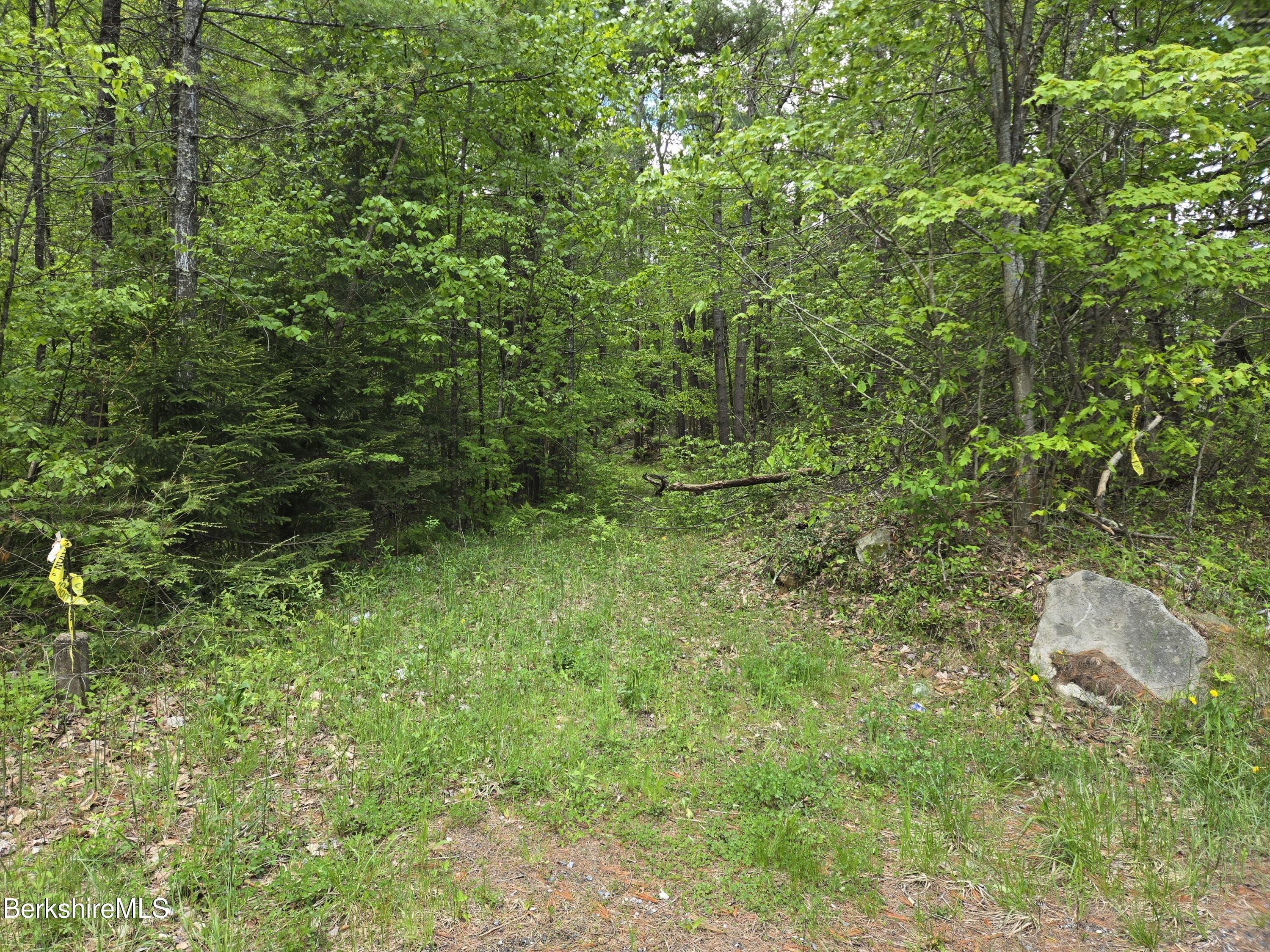 E Otis Rd, Otis, Massachusetts image 3