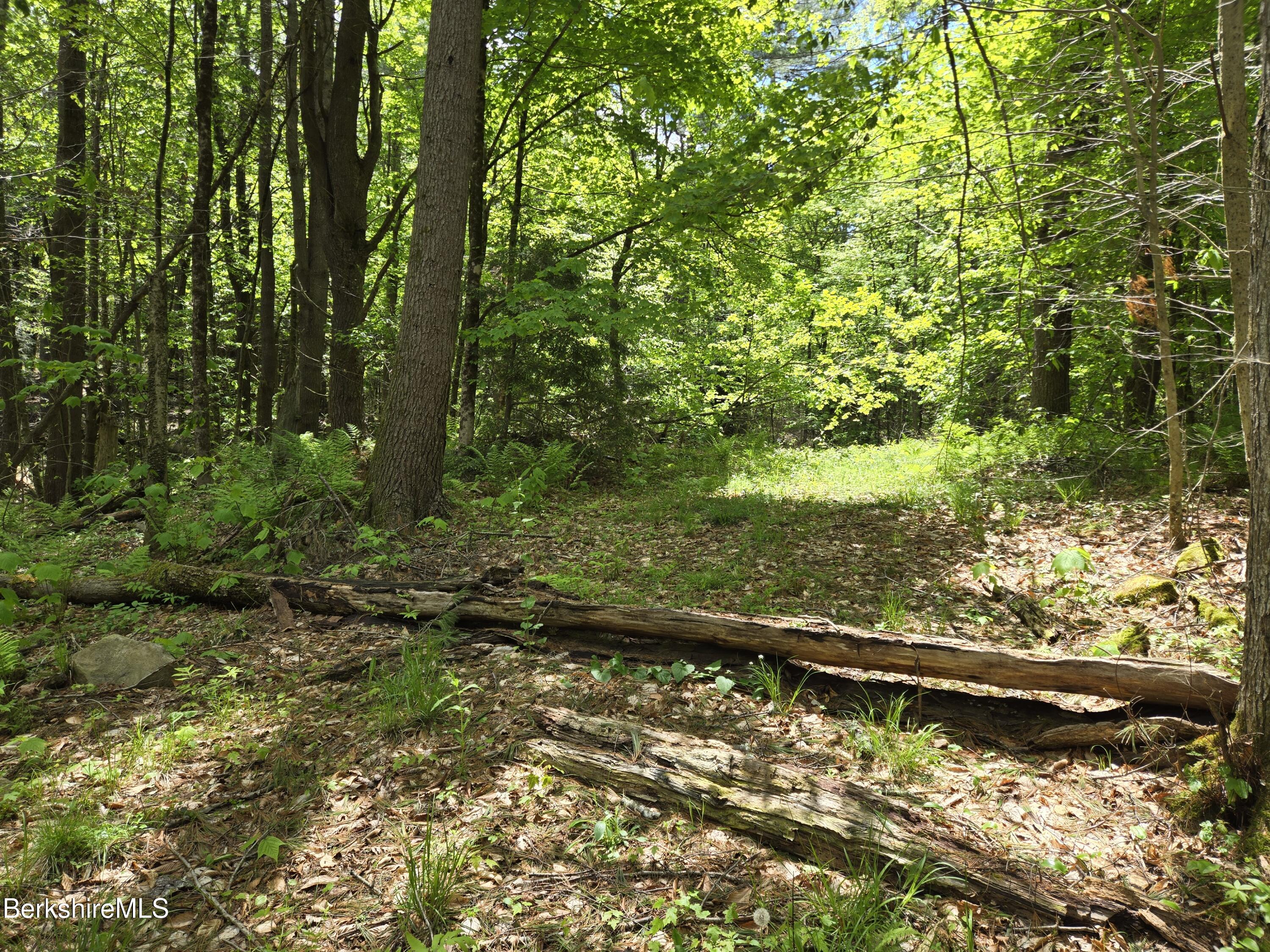 E Otis Rd, Otis, Massachusetts image 8