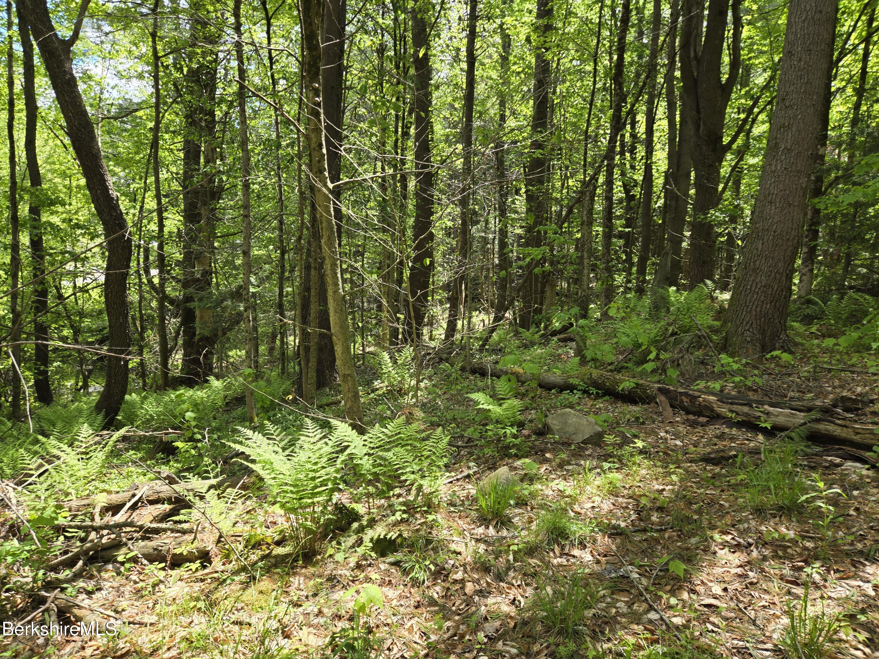 E Otis Rd, Otis, Massachusetts image 14