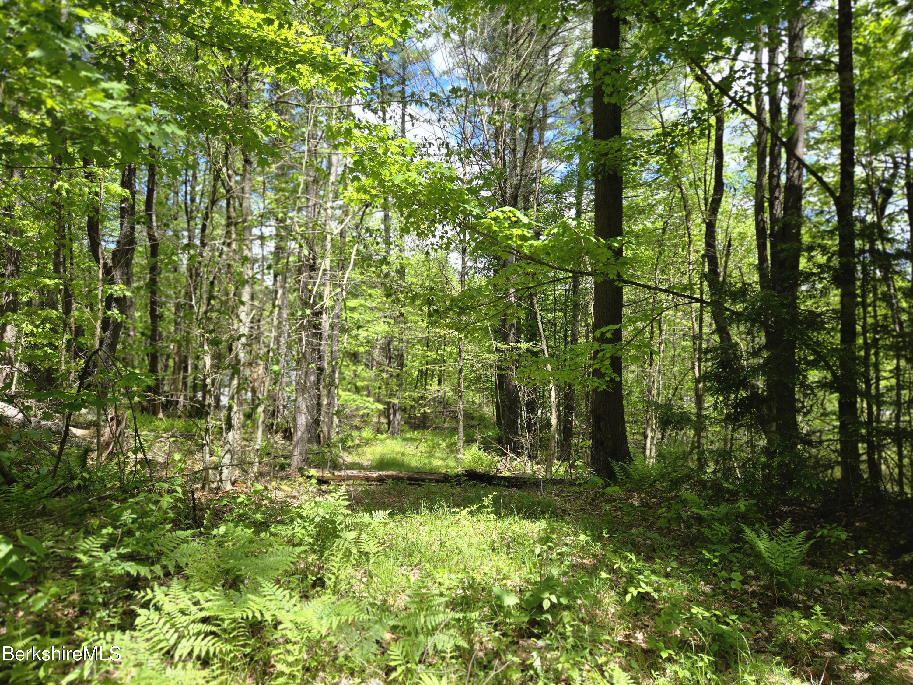 E Otis Rd, Otis, Massachusetts image 1