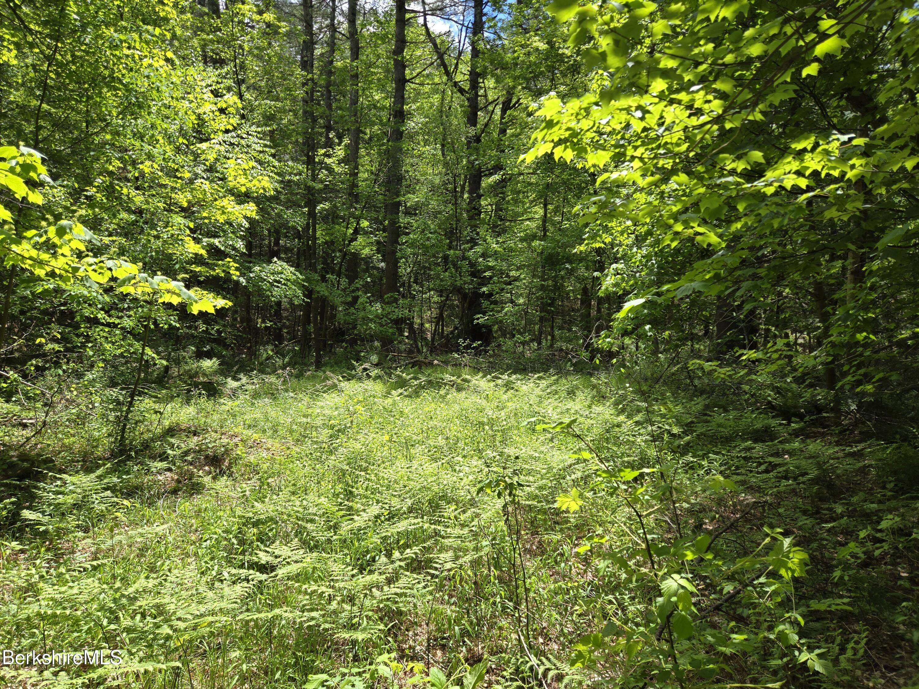 E Otis Rd, Otis, Massachusetts image 11